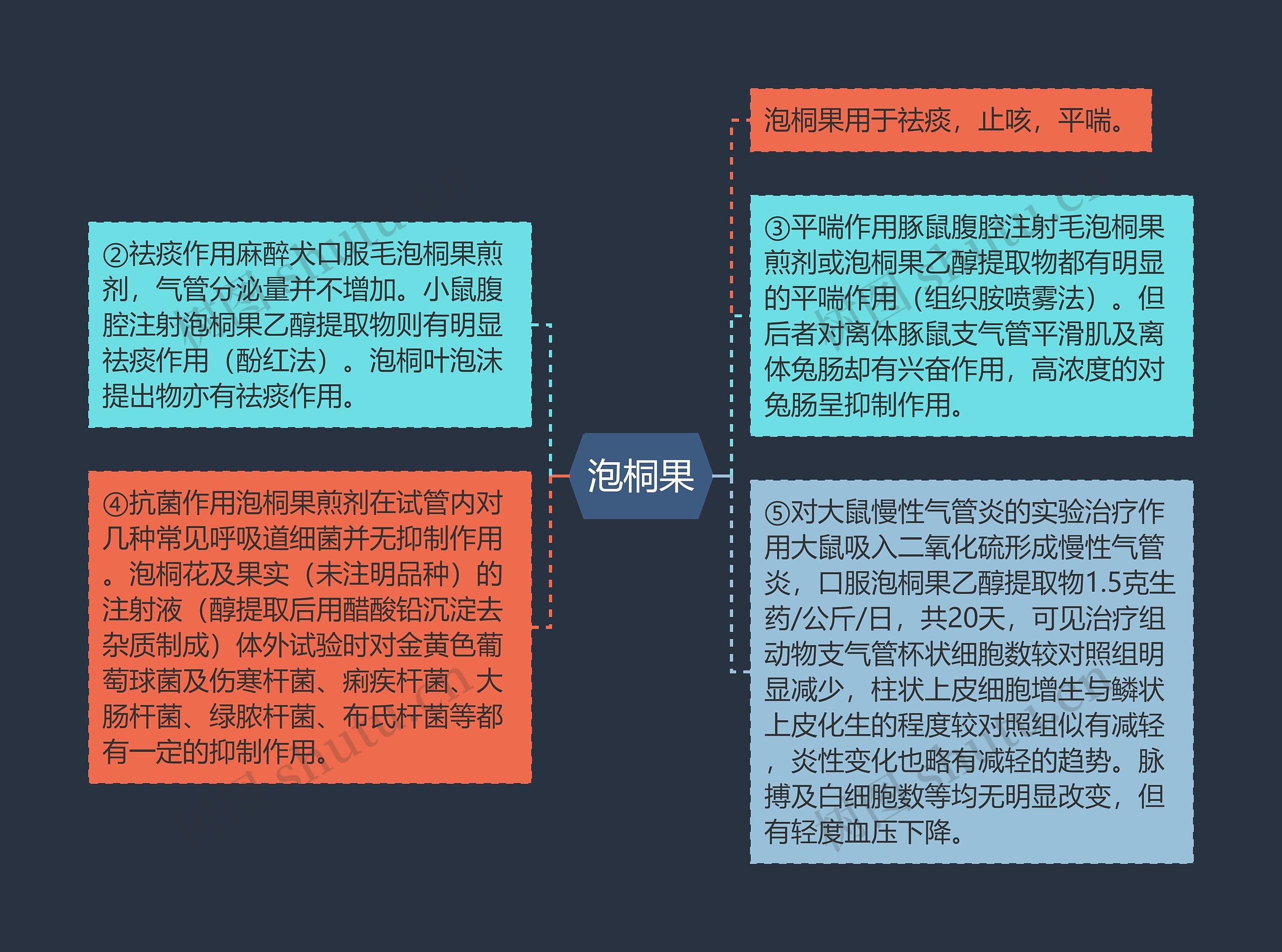 泡桐果思维导图