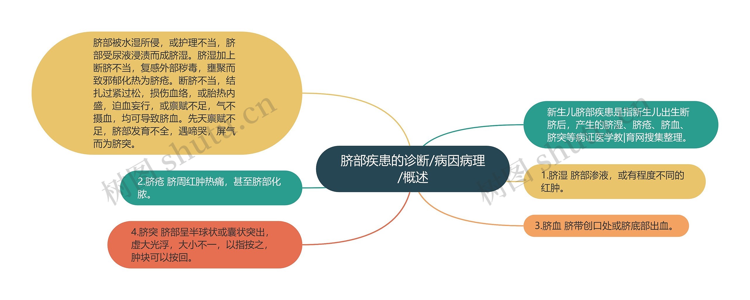 脐部疾患的诊断/病因病理/概述思维导图