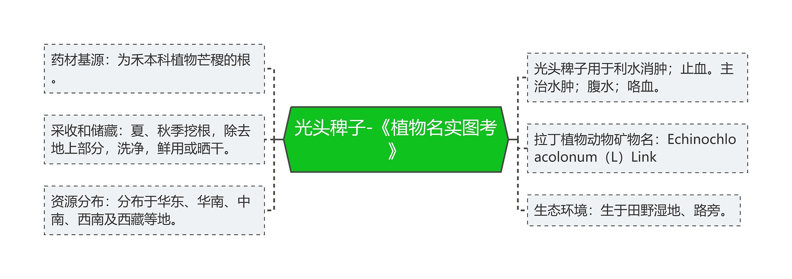 光头稗子-《植物名实图考》 光头稗子-《植物名实图考》
