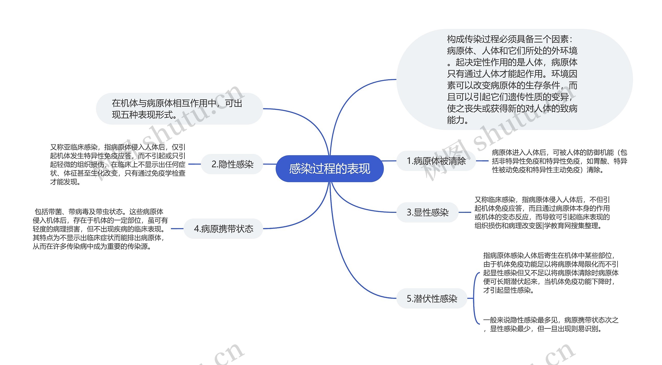 感染过程的表现