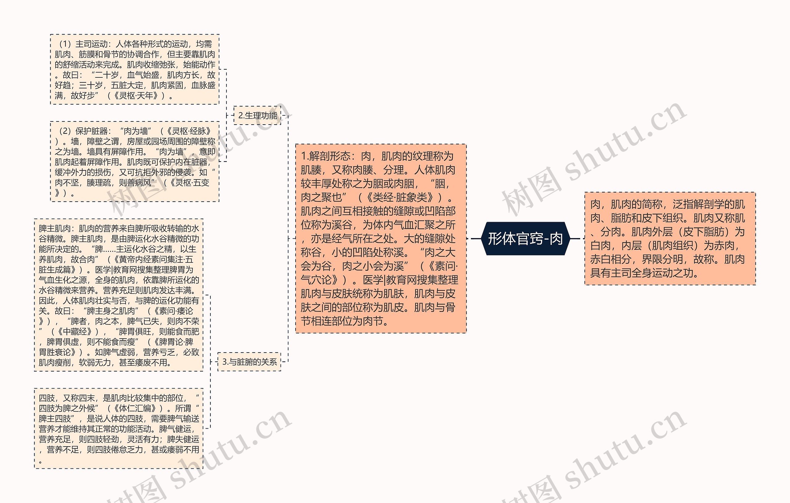 形体官窍-肉思维导图