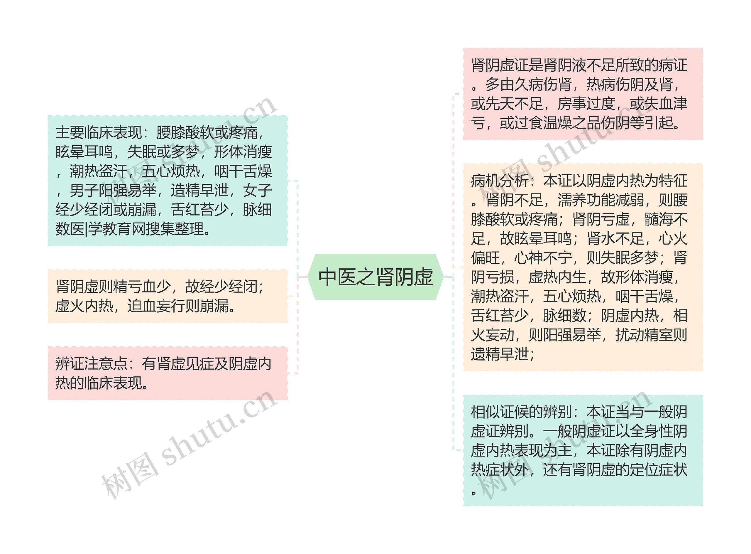 中医之肾阴虚 中医之肾阴虚