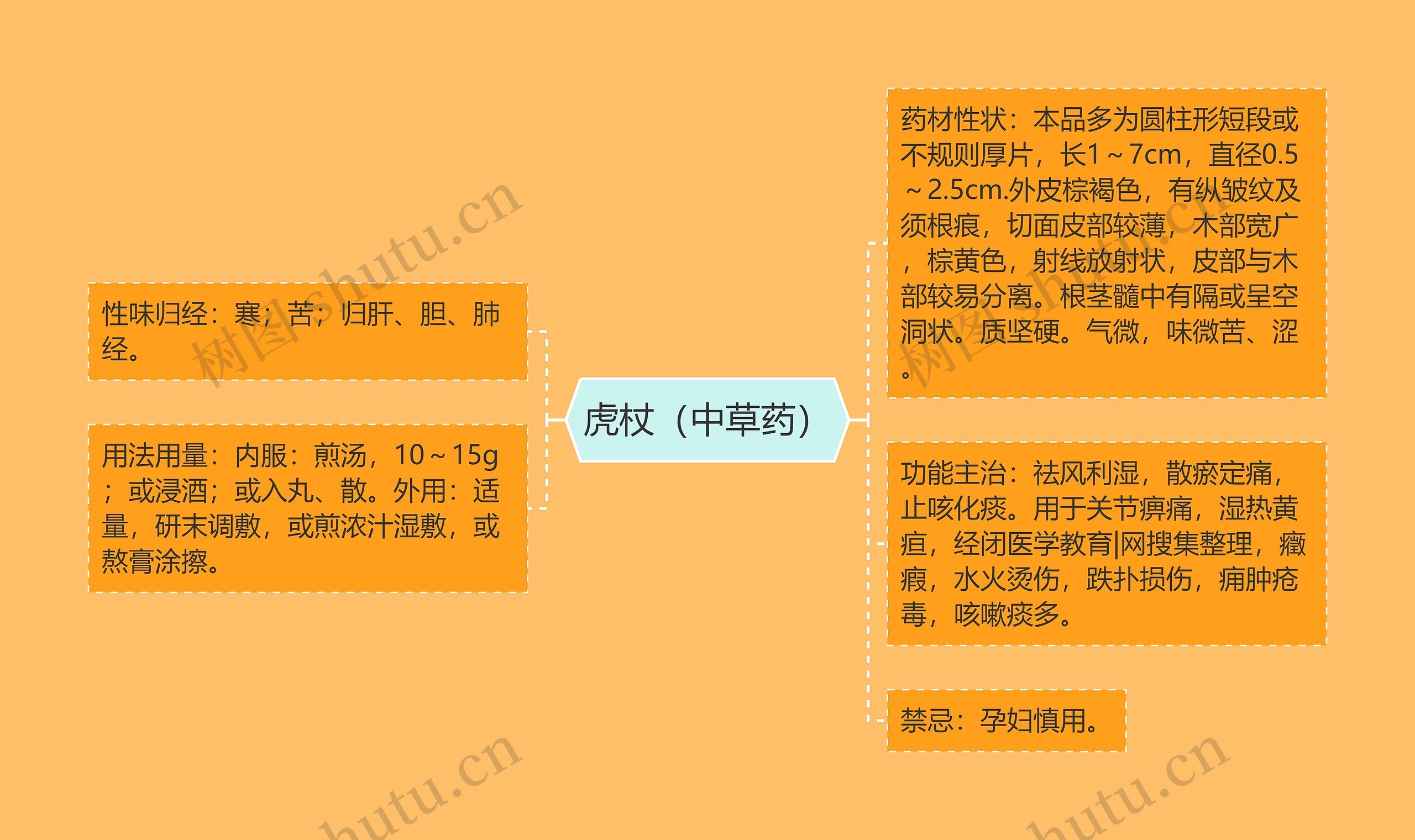 虎杖(中草药) 虎杖(中草药)