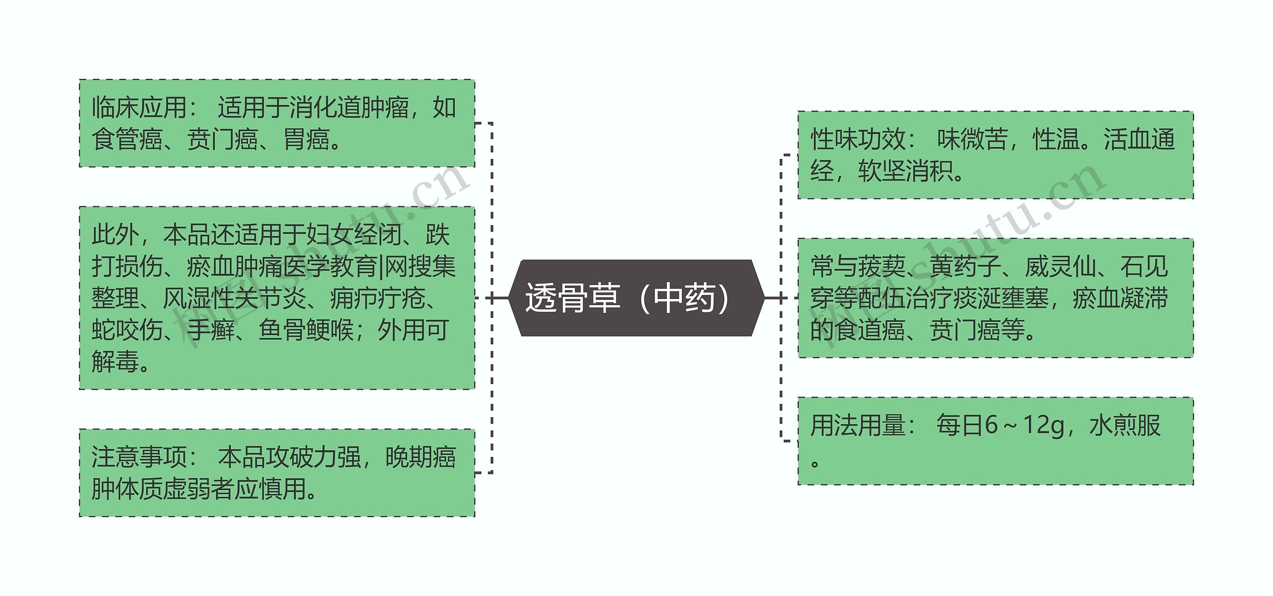 透骨草（中药）