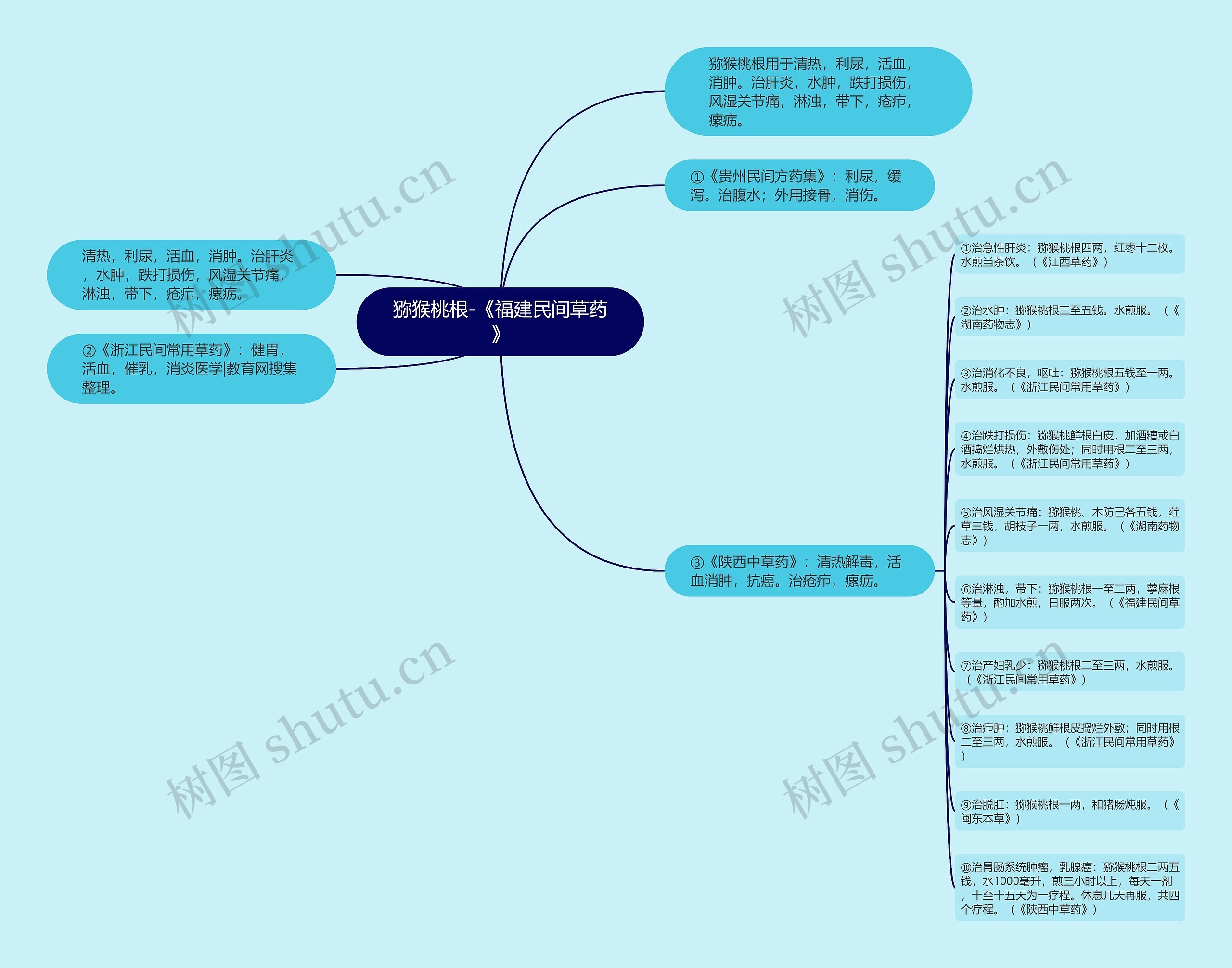 猕猴桃根-《福建民间草药》思维导图