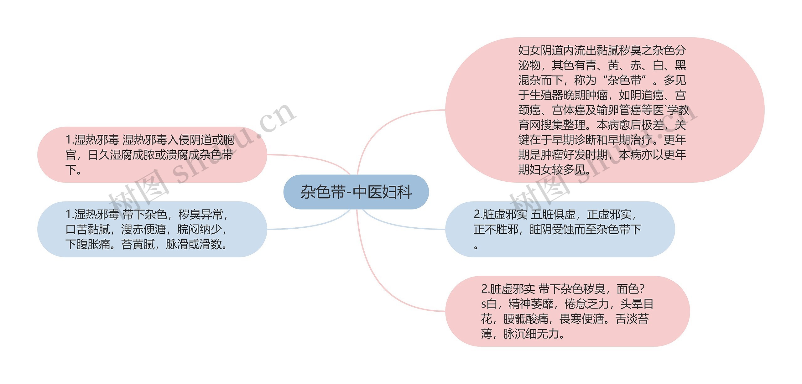 杂色带-中医妇科思维导图