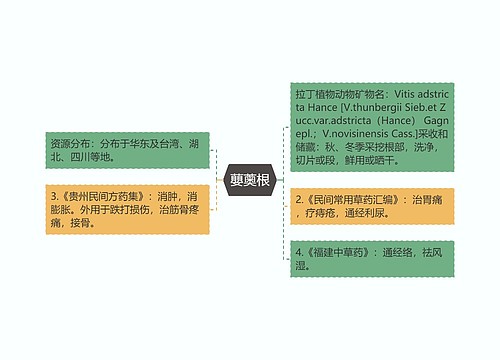 蘡薁根思维导图