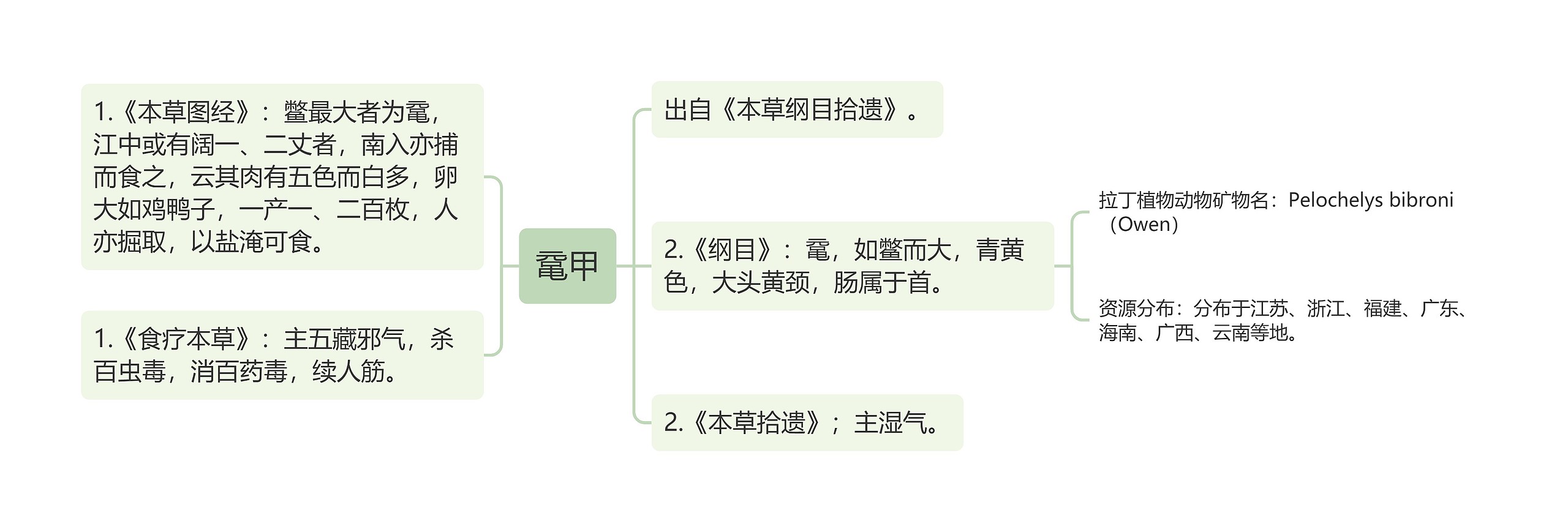 鼋甲思维导图