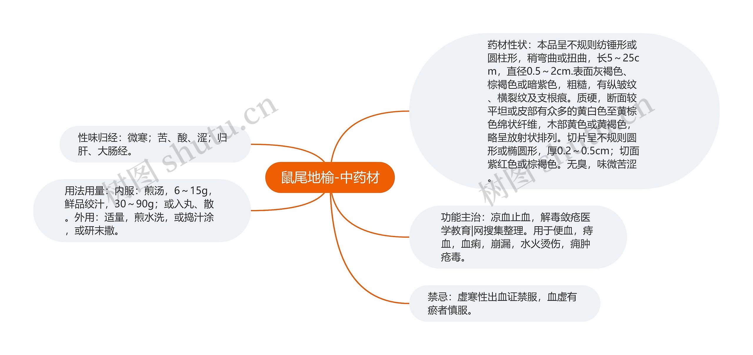 鼠尾地榆-中药材思维导图