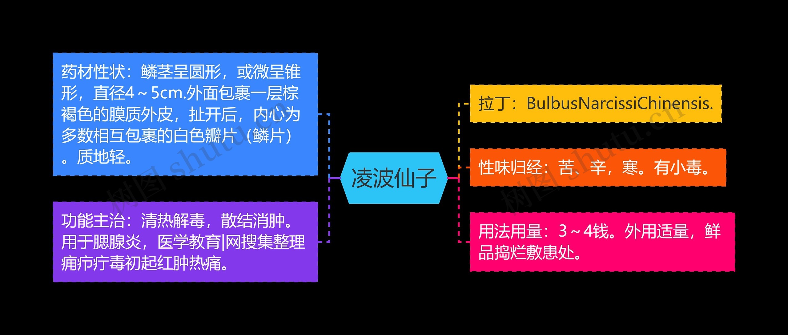 凌波仙子 凌波仙子