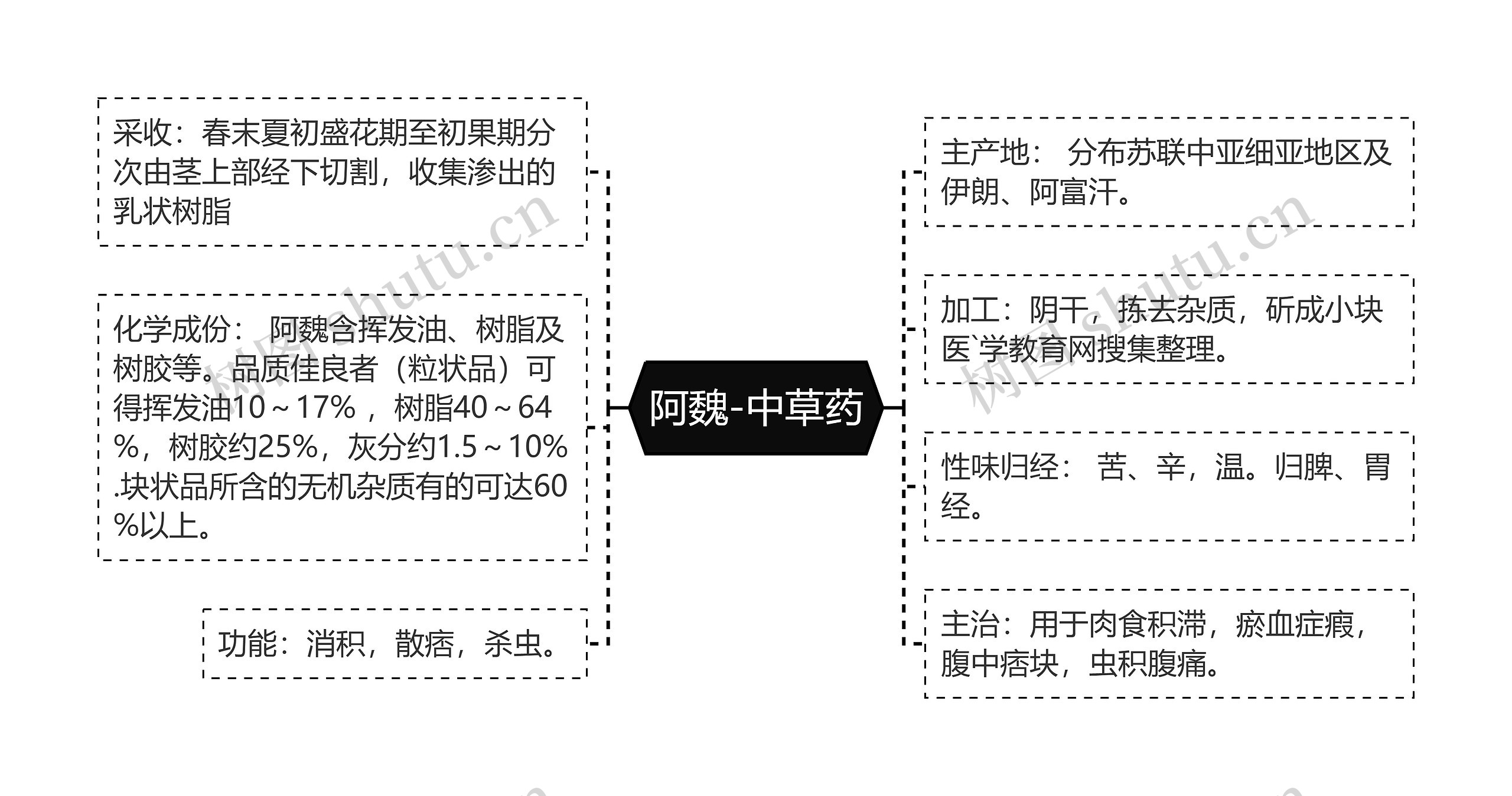 阿魏-中草药思维导图