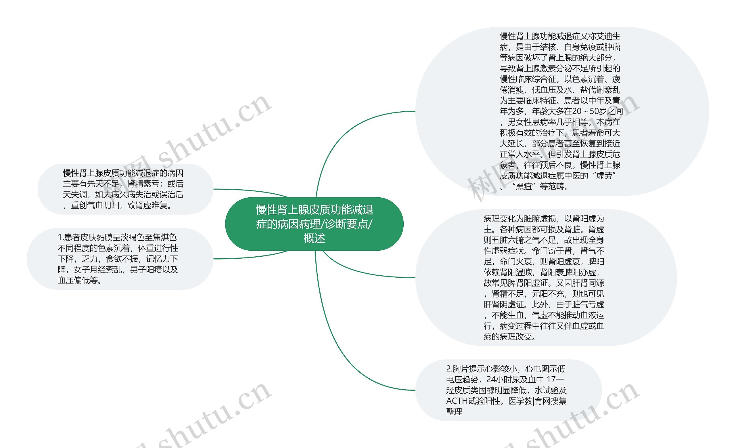 慢性肾上腺皮质功能减退症的病因病理/诊断要点/概述