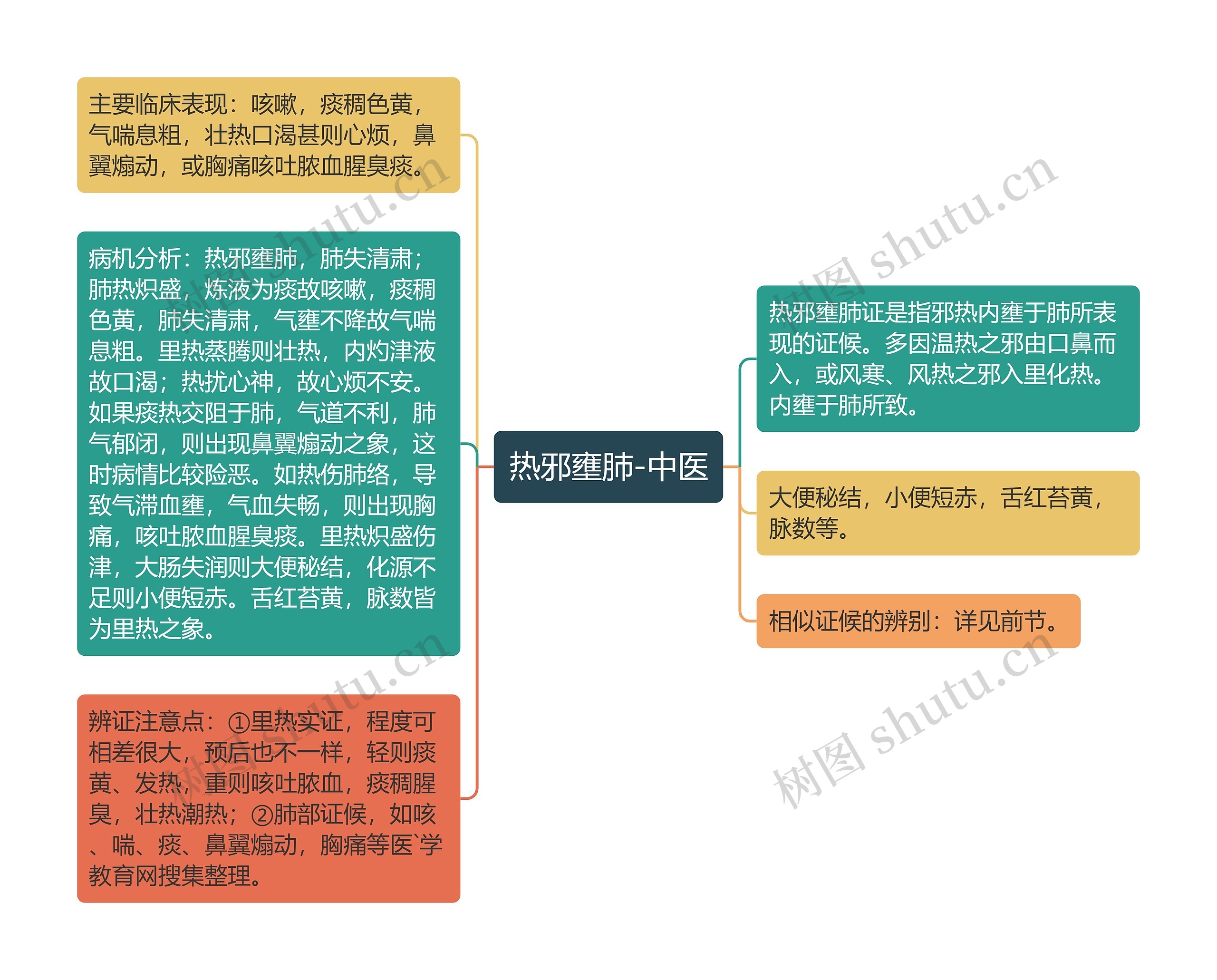 热邪壅肺-中医思维导图