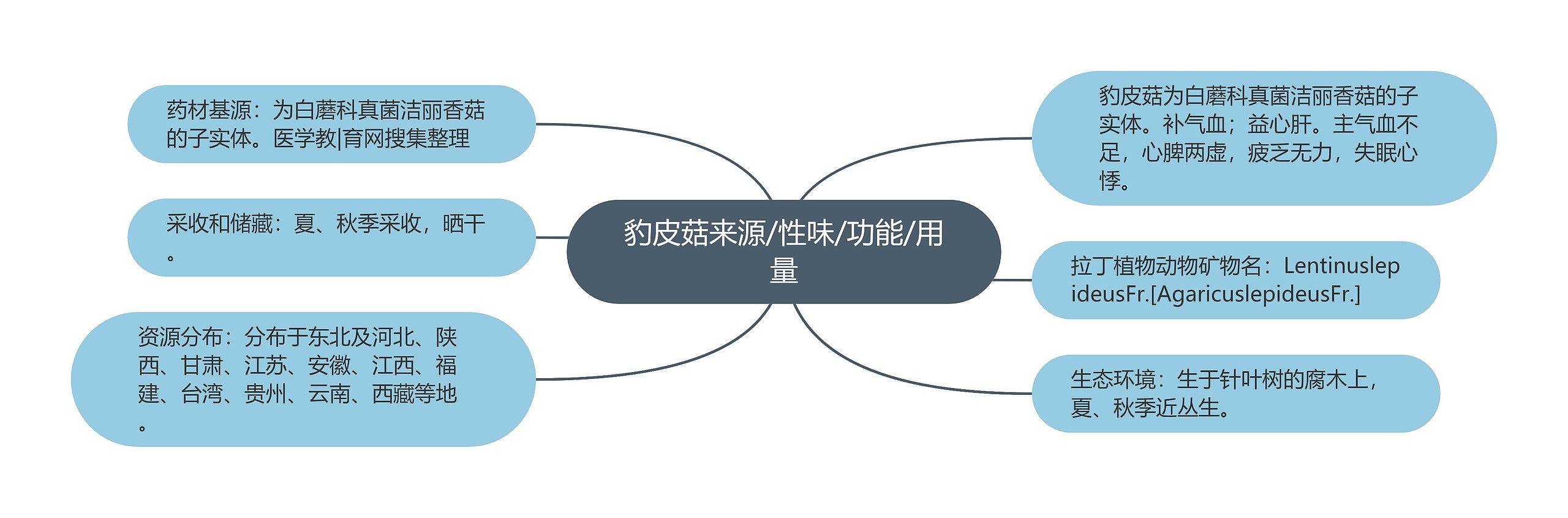 豹皮菇来源/性味/功能/用量