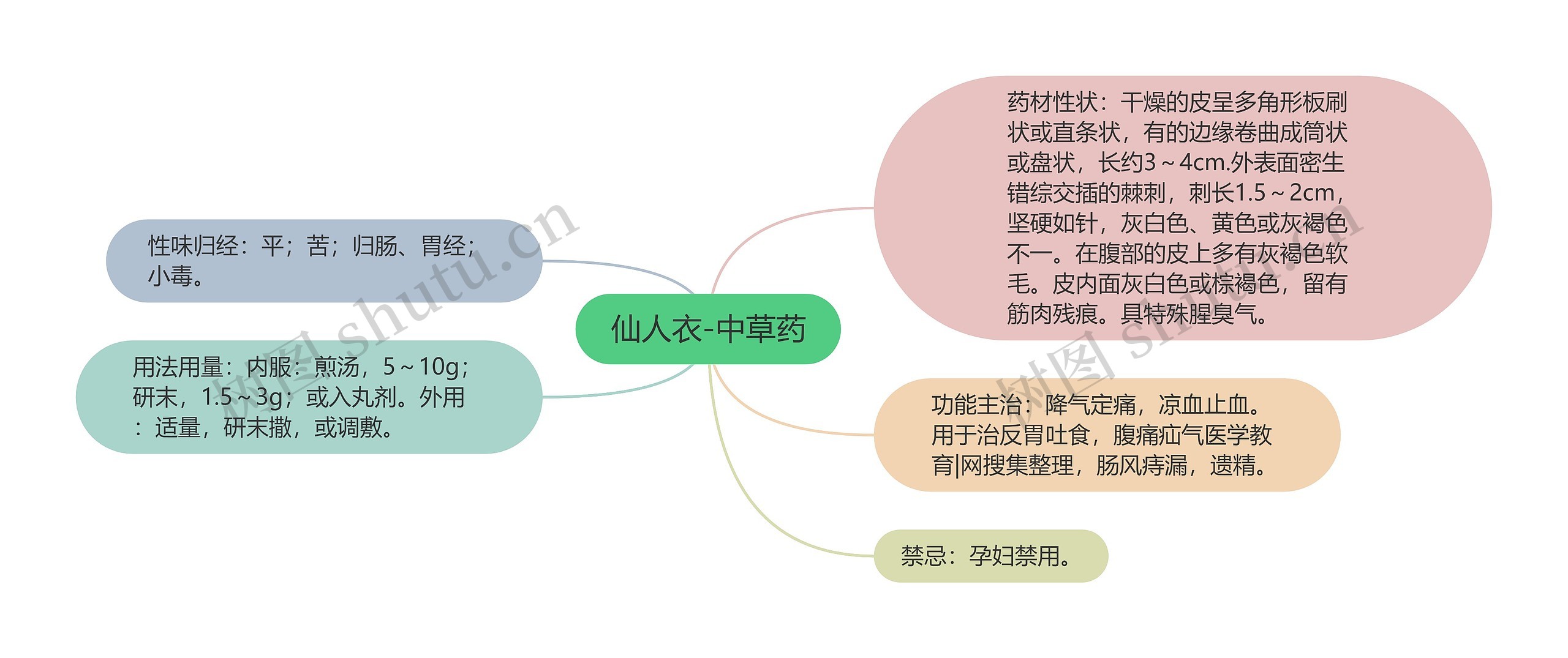 仙人衣-中草药思维导图