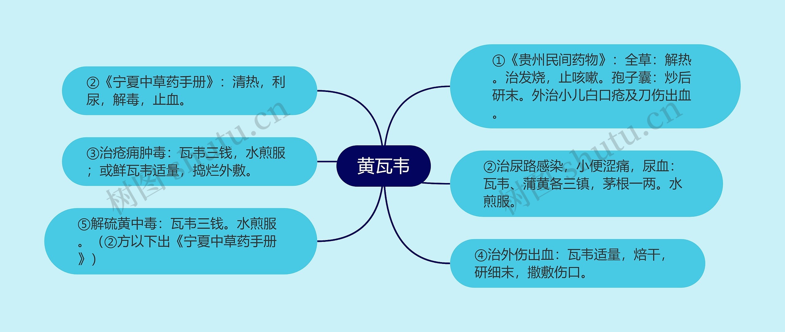 黄瓦韦思维导图