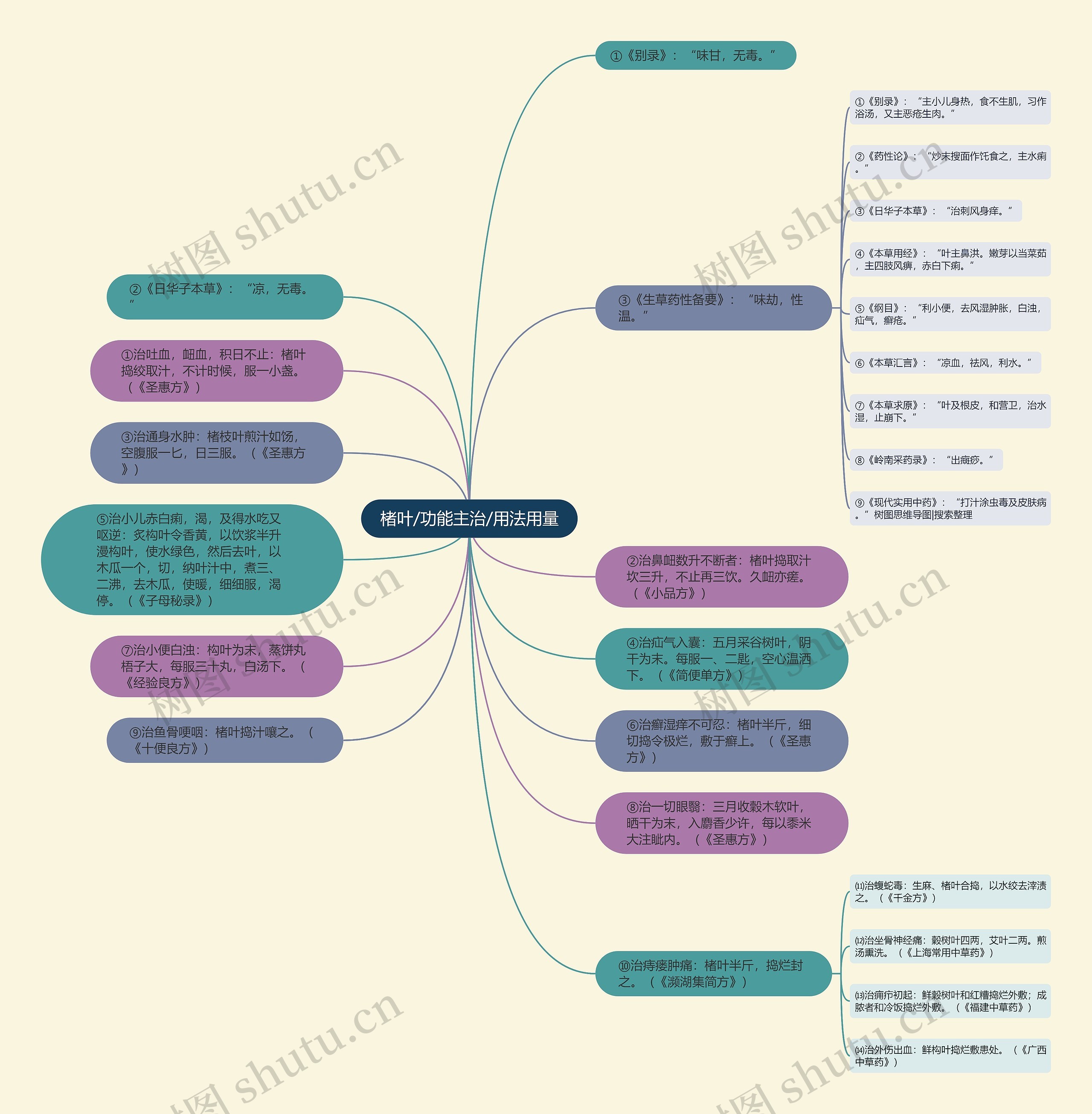 楮叶/功能主治/用法用量思维导图