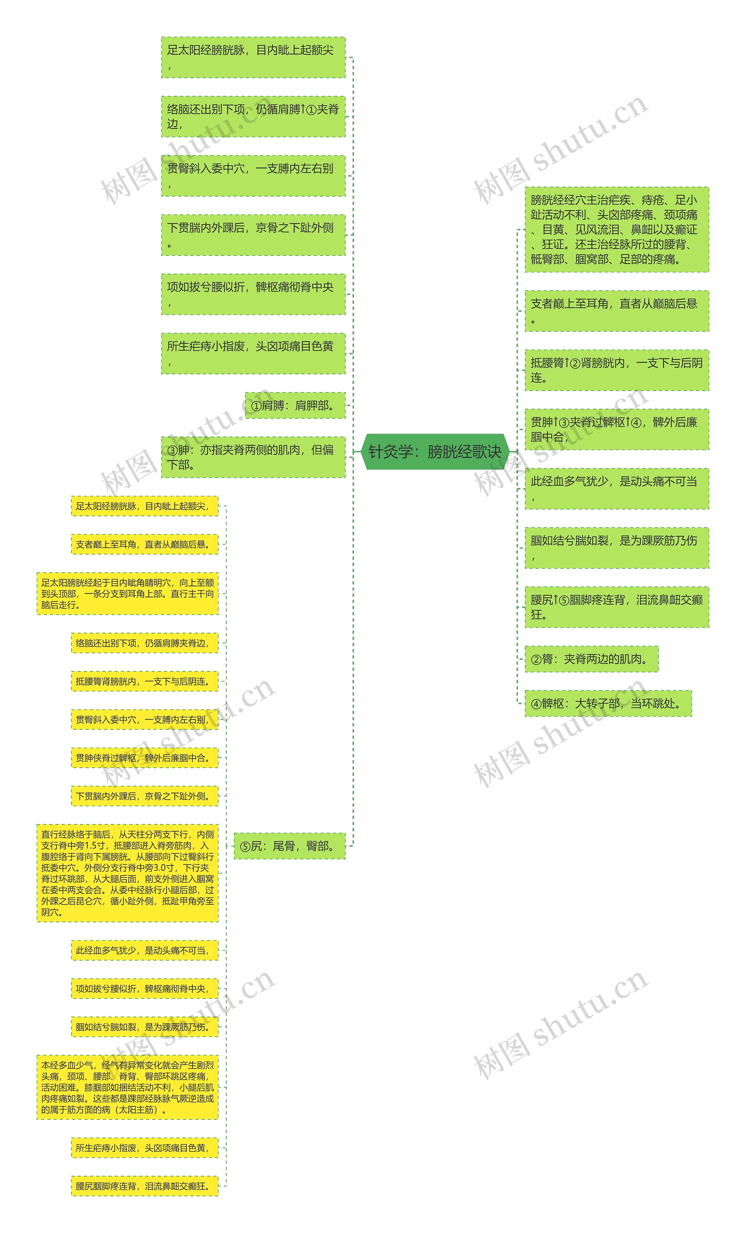 针灸学：膀胱经歌诀思维导图