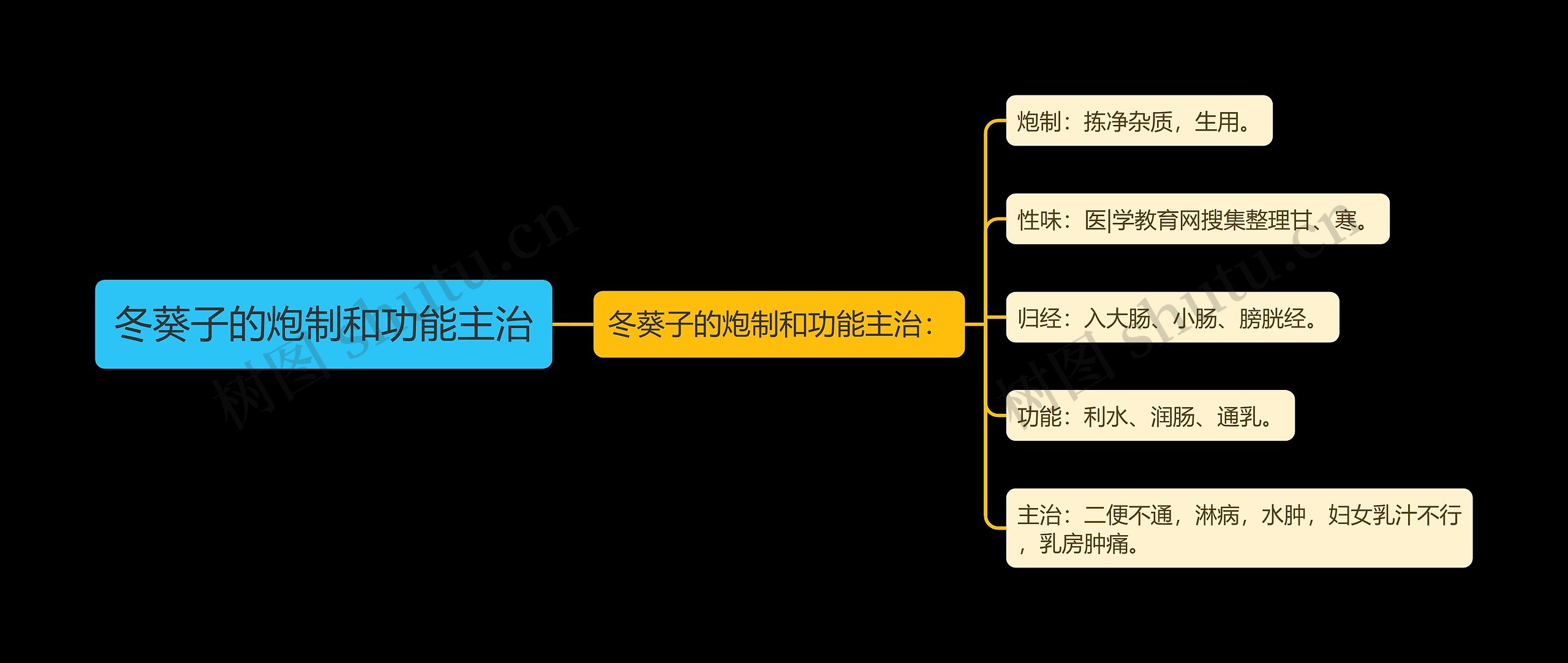 冬葵子的炮制和功能主治思维导图