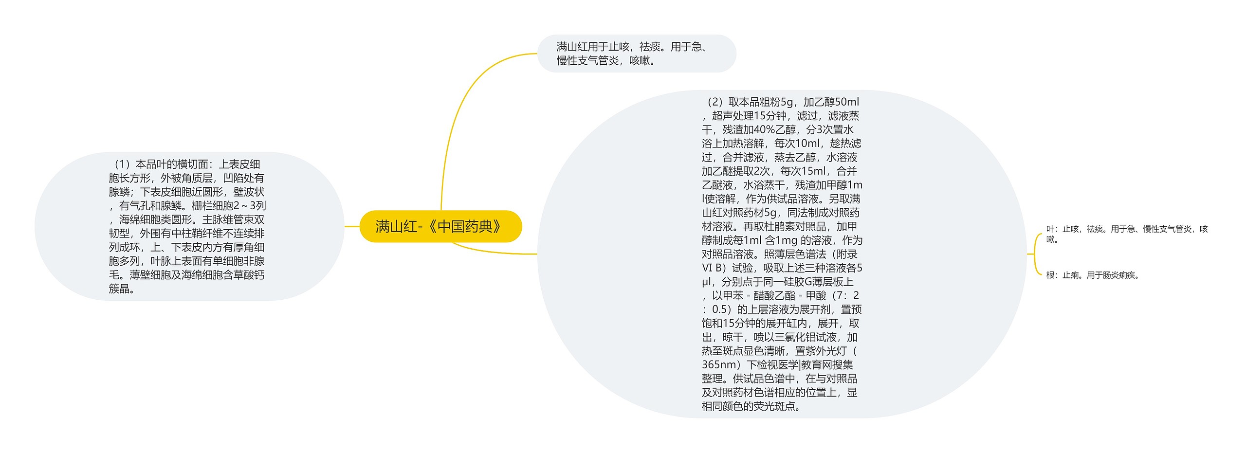 满山红-《中国药典》 满山红-《中国药典》
