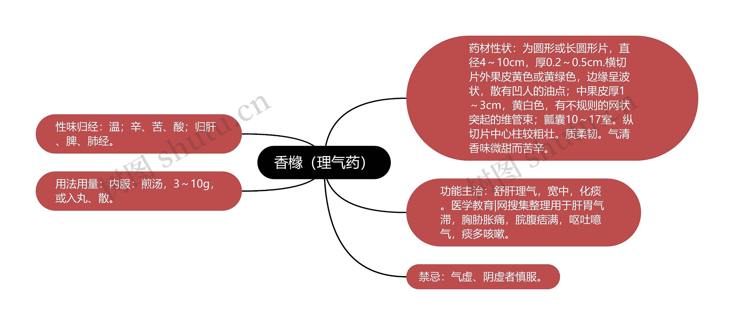 香橼（理气药）思维导图