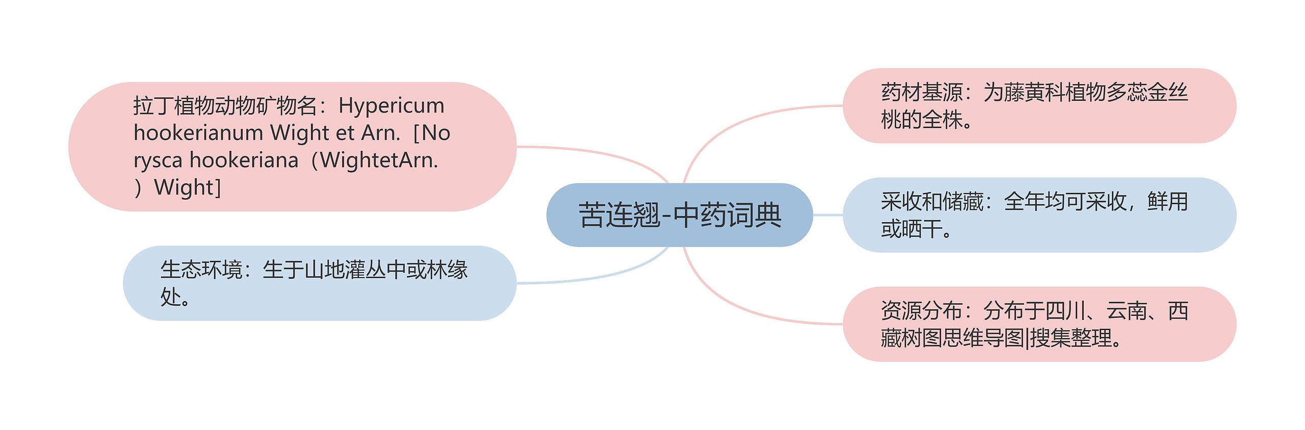 苦连翘-中药词典思维导图