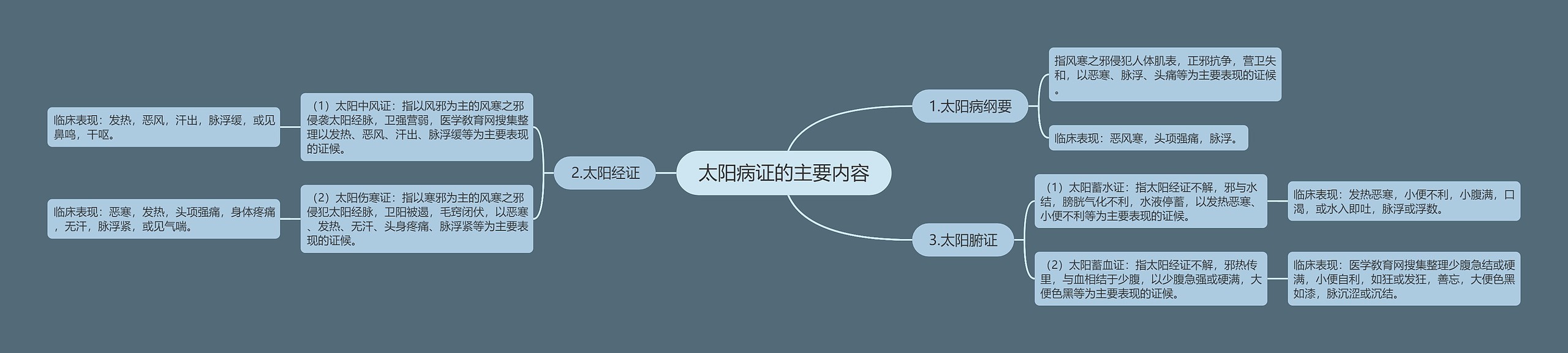 太阳病证的主要内容思维导图