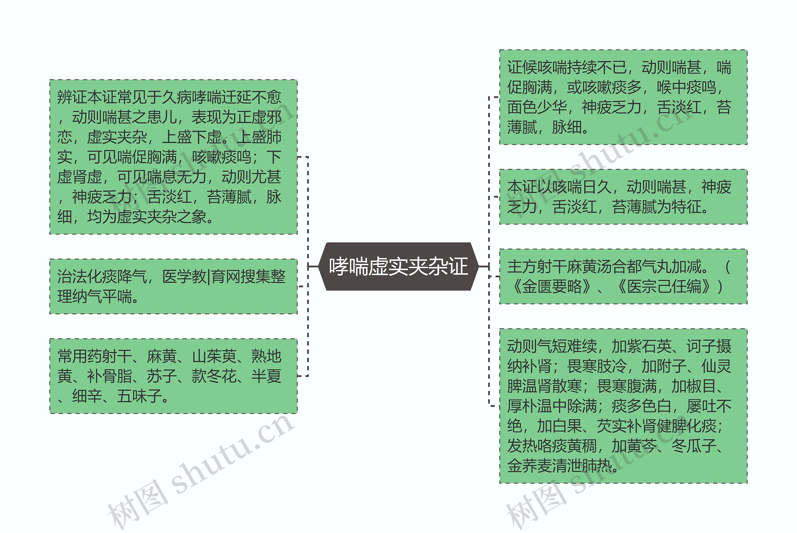 哮喘虚实夹杂证思维导图