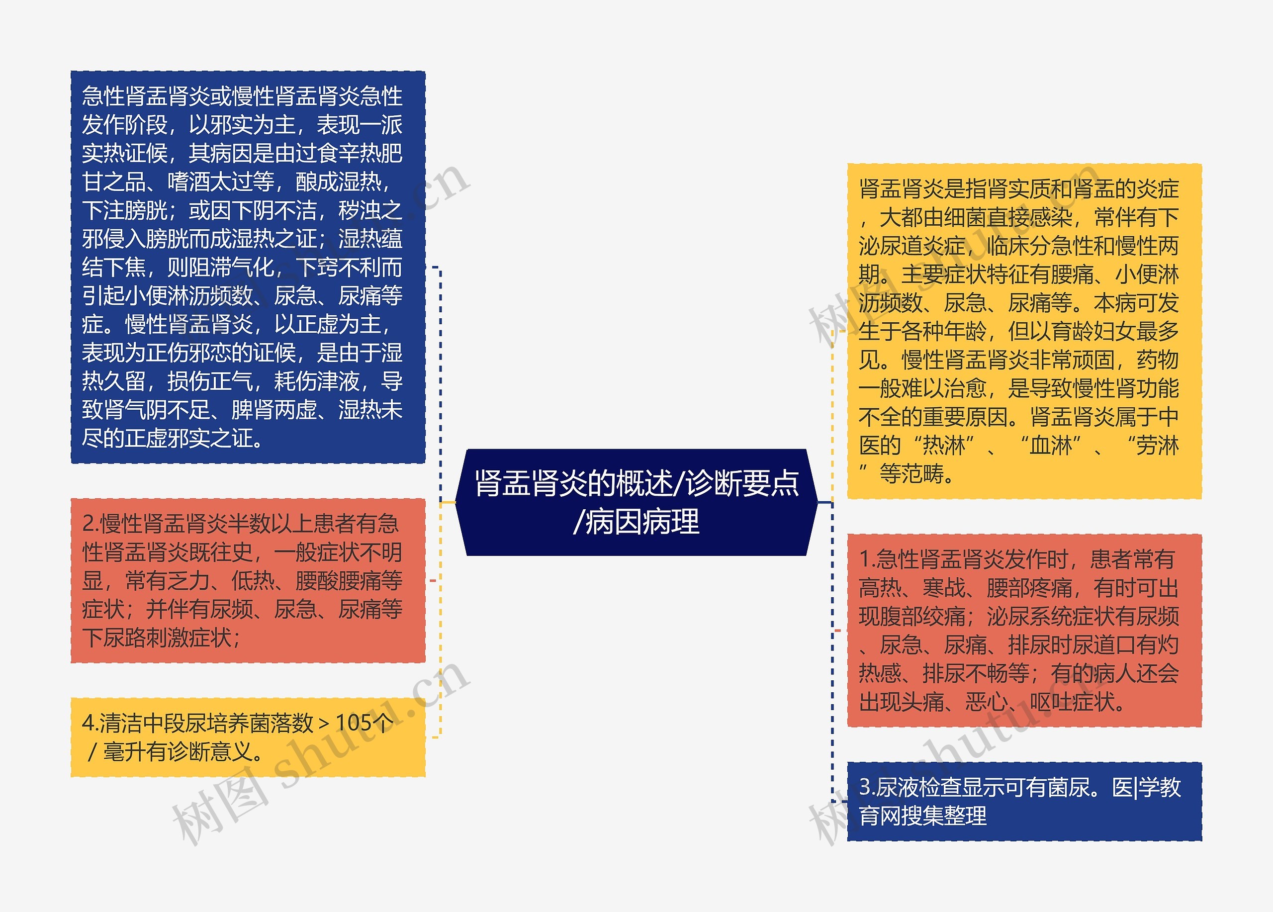 肾盂肾炎的概述/诊断要点/病因病理思维导图