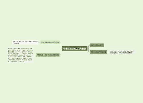 毛叶三条筋的功效与作用