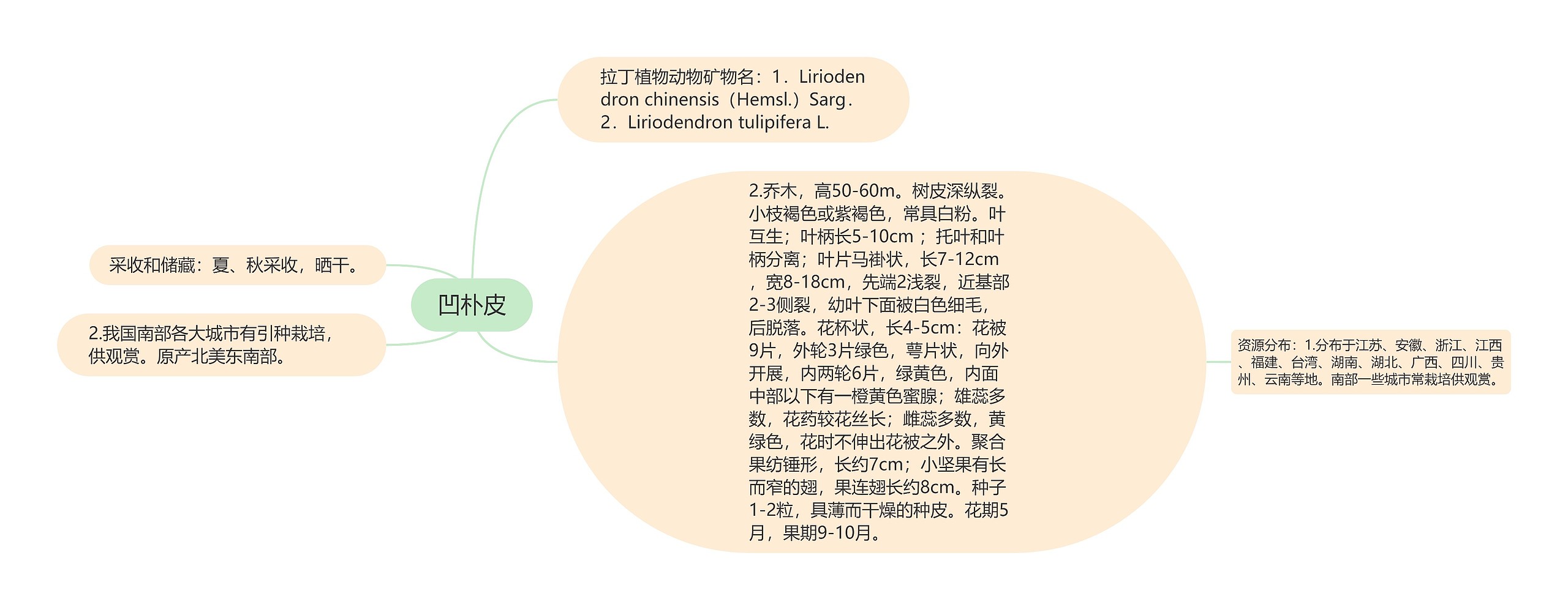 凹朴皮