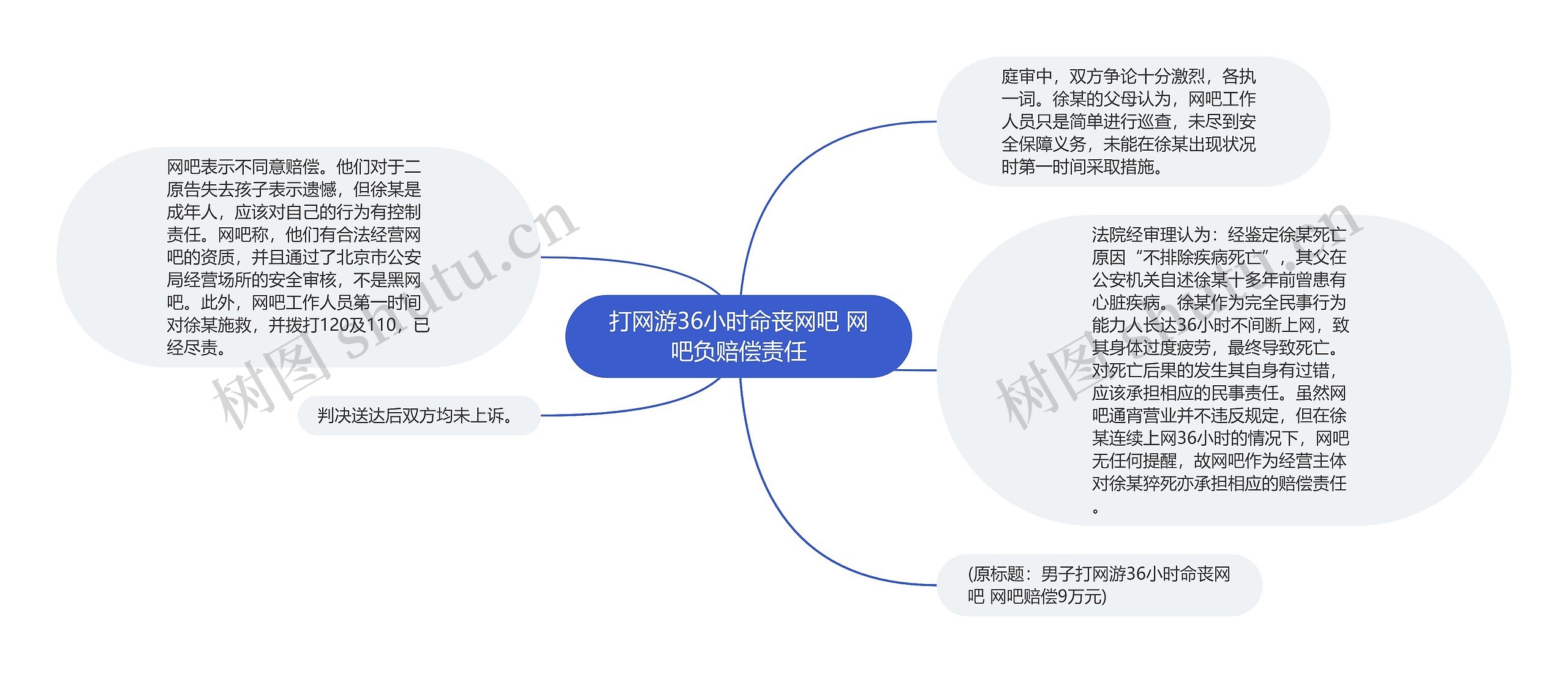 打网游36小时命丧网吧 网吧负赔偿责任思维导图