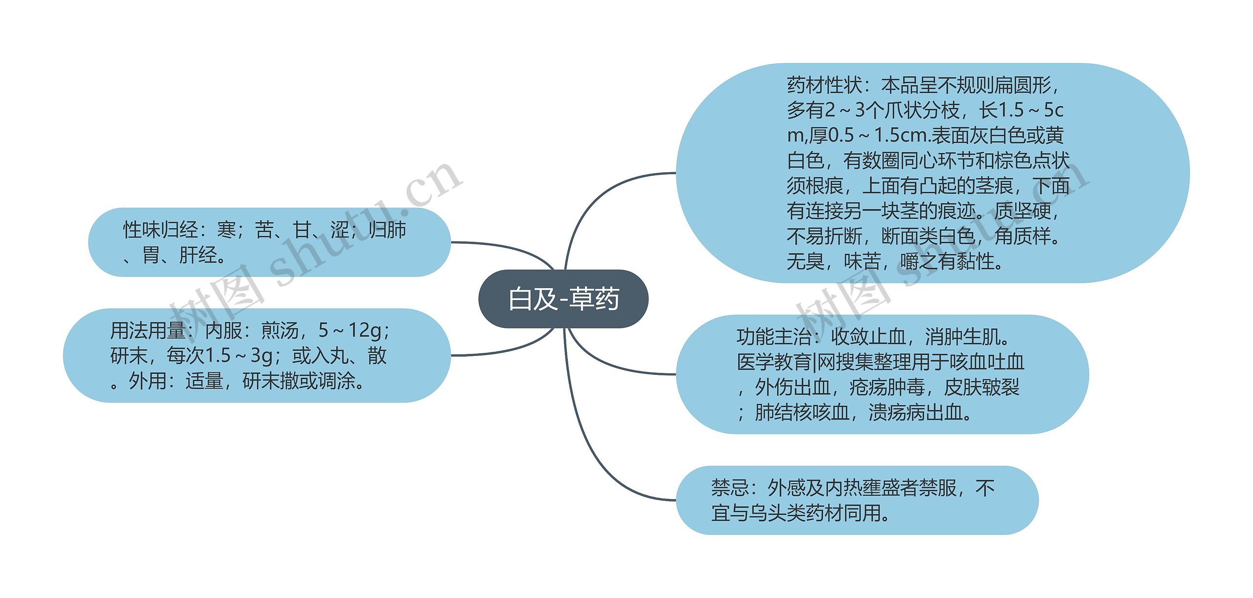 白及-草药思维导图