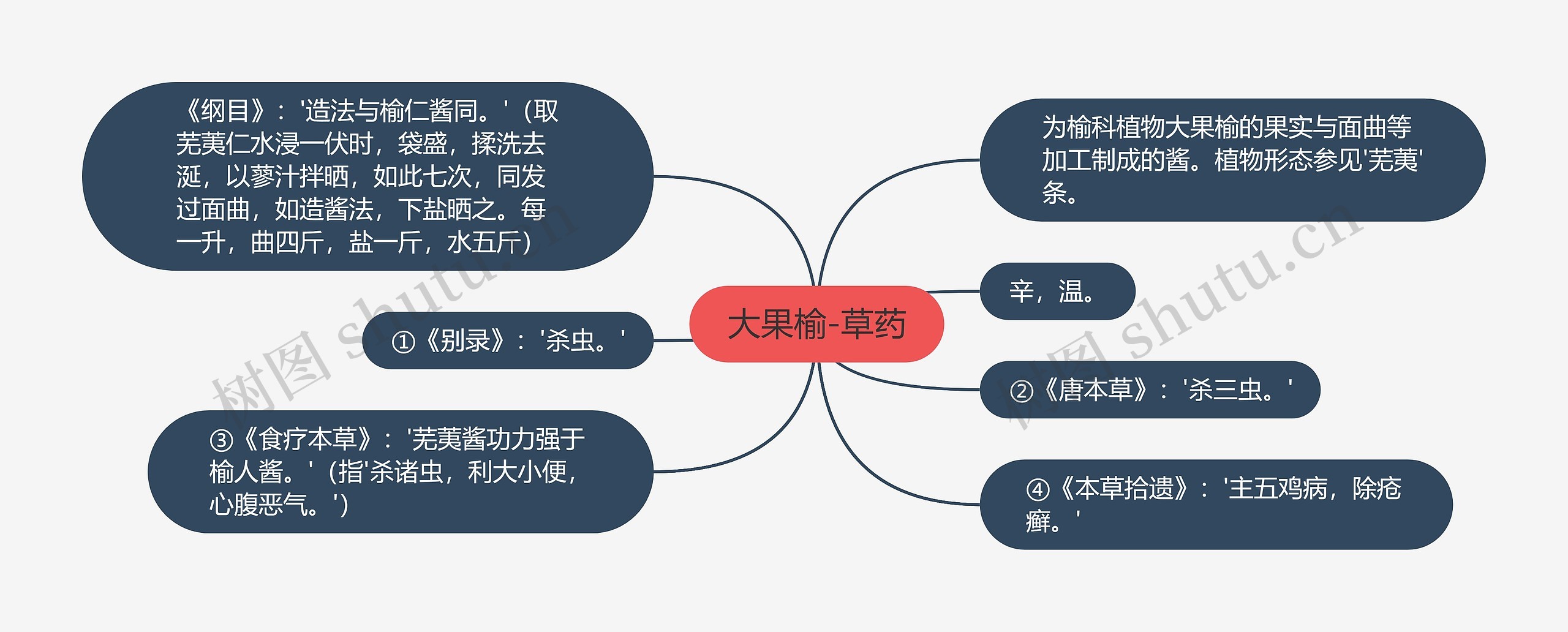 大果榆-草药思维导图