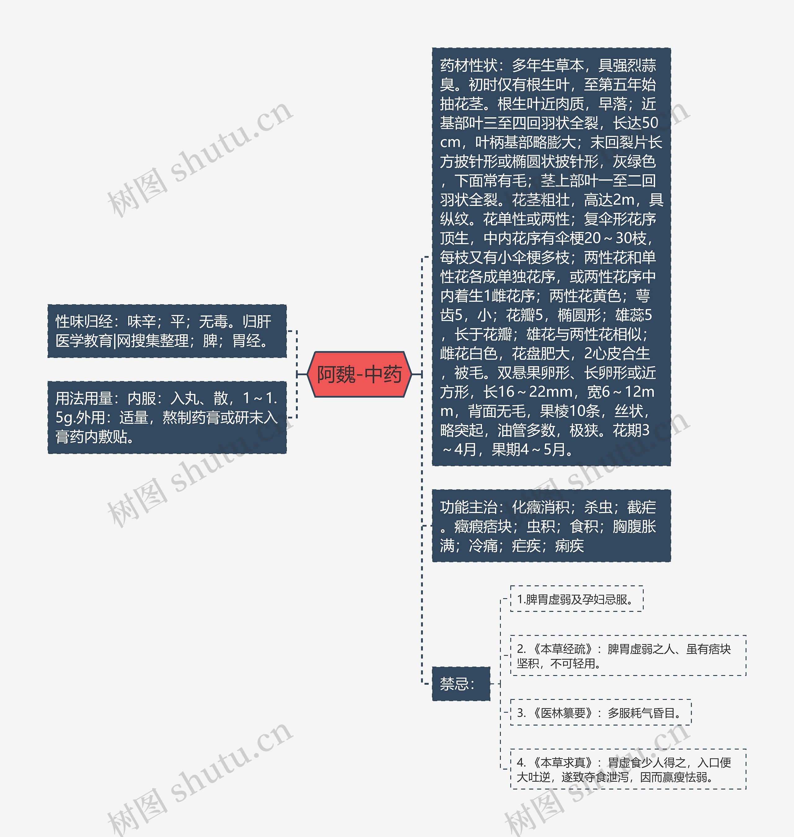 阿魏-中药思维导图