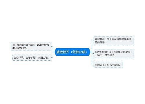 披散糖芥（敛肺止咳）