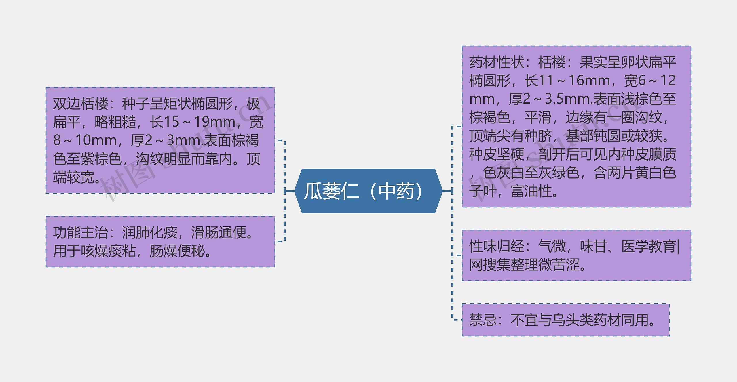 瓜蒌仁（中药）思维导图