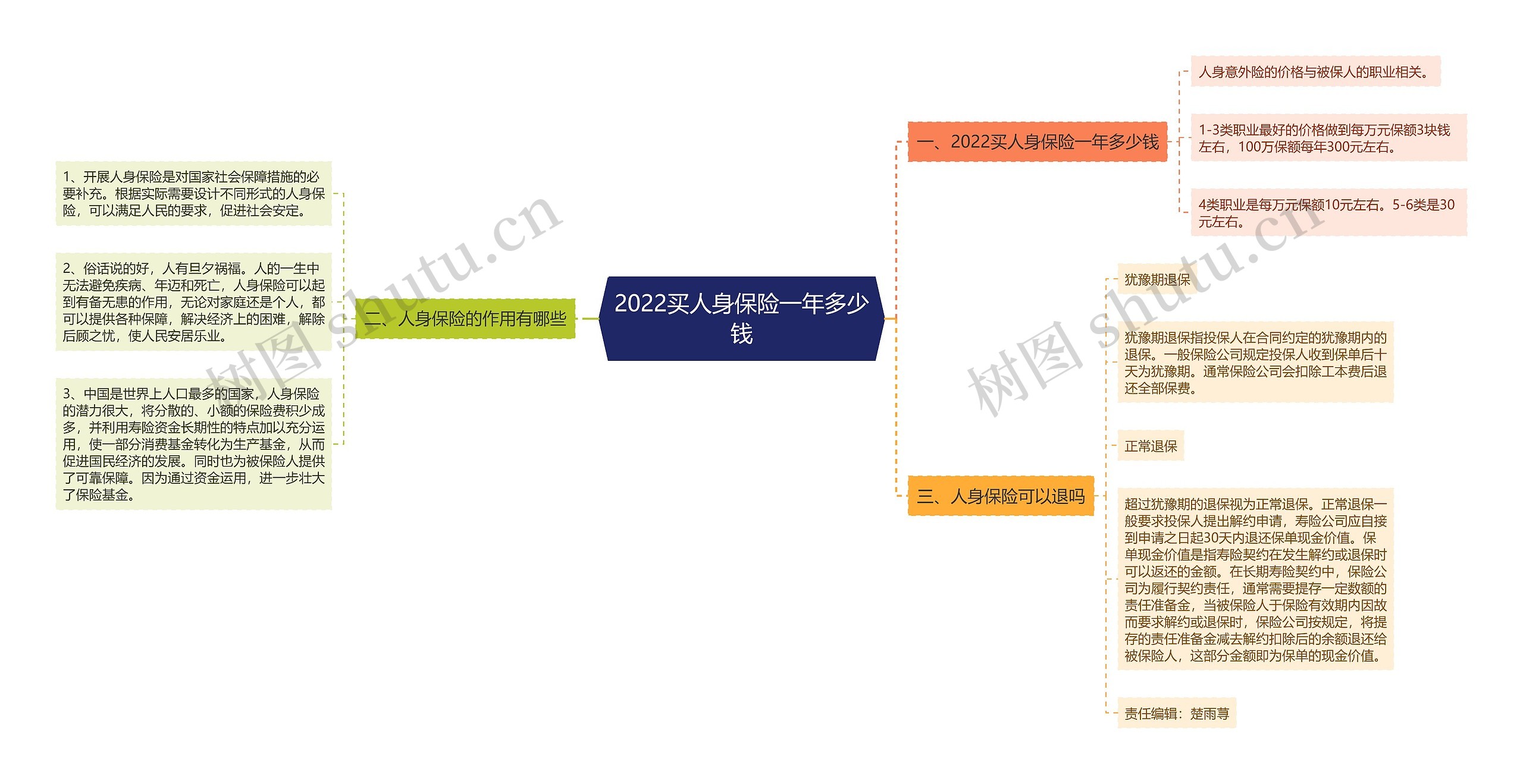 2022买人身保险一年多少钱思维导图