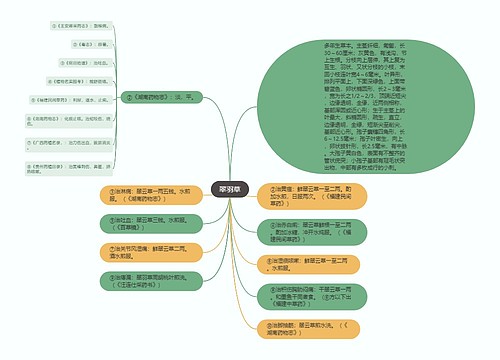 翠羽草