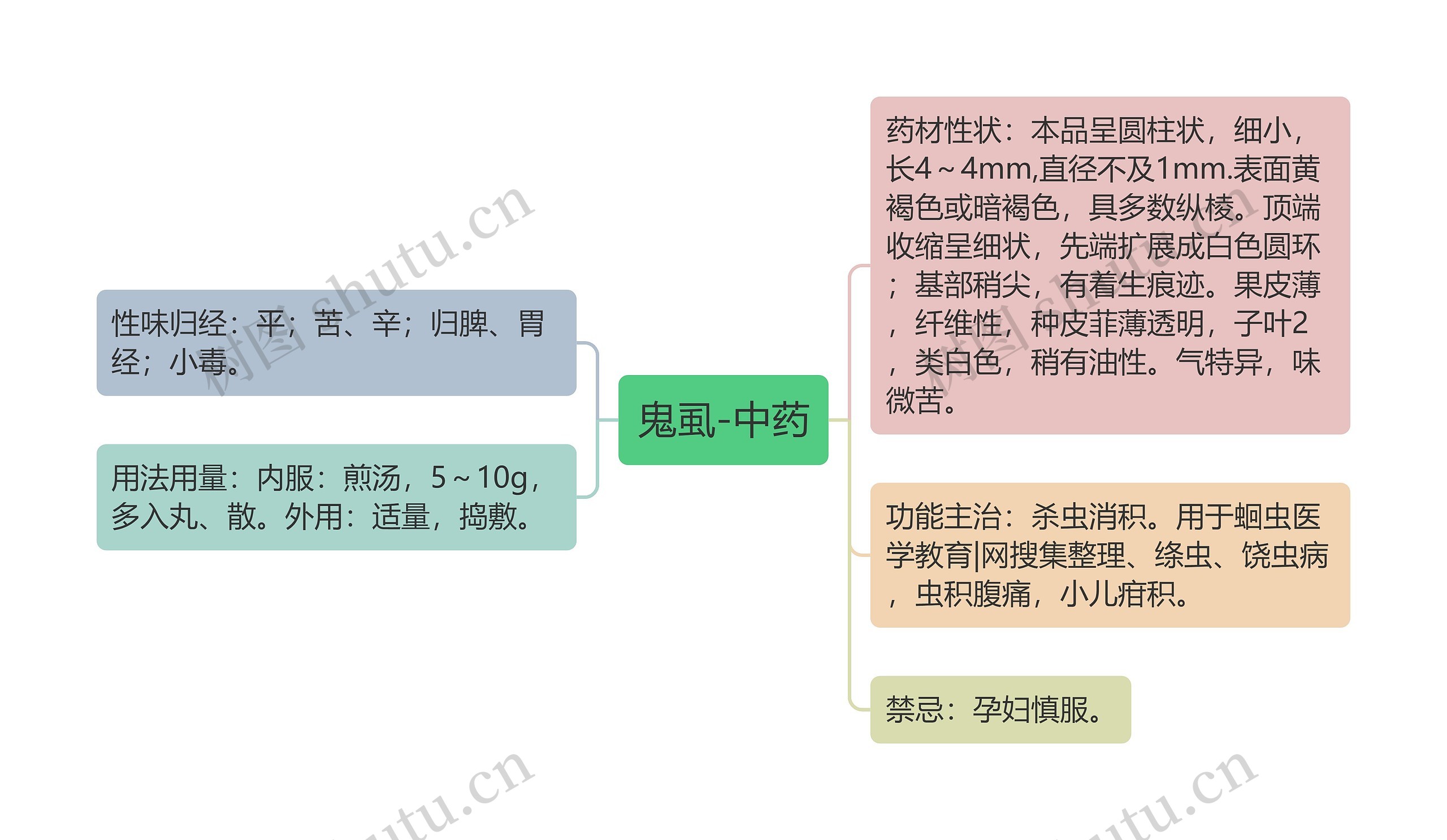 鬼虱-中药思维导图