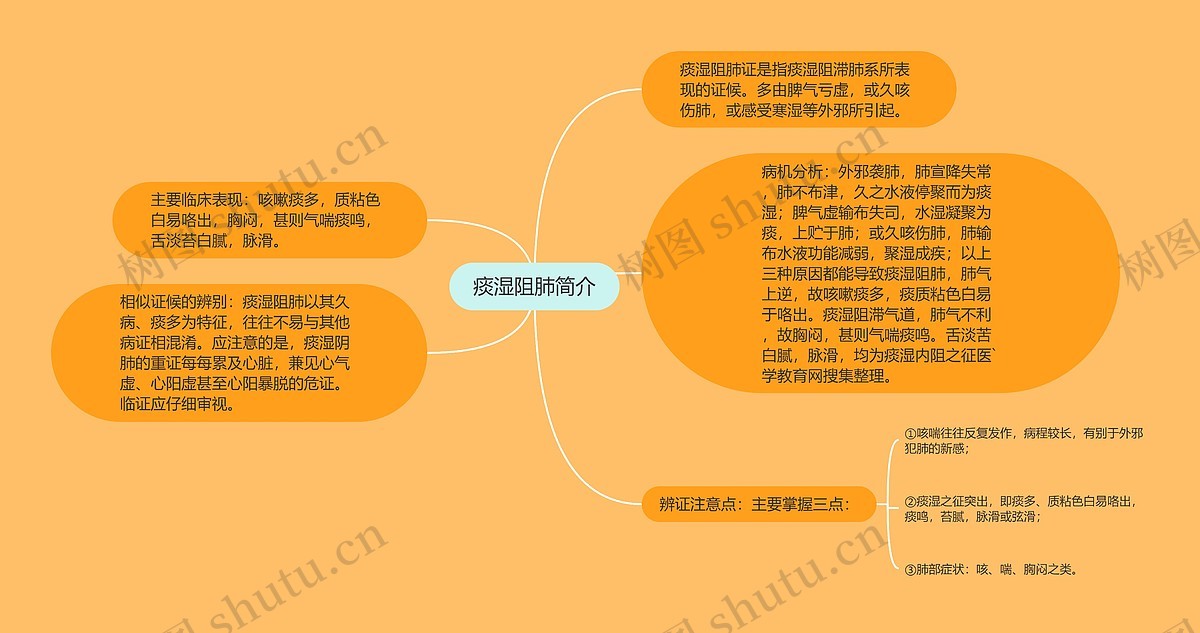 痰湿阻肺简介思维导图_编号p6966990-TreeMind树图