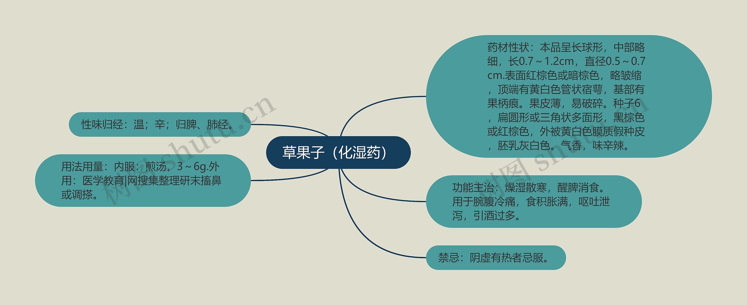 草果子（化湿药）思维导图