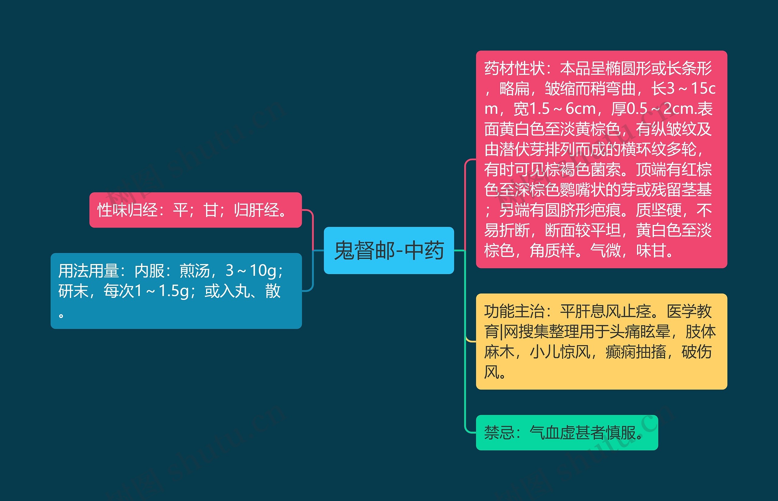 鬼督邮-中药思维导图