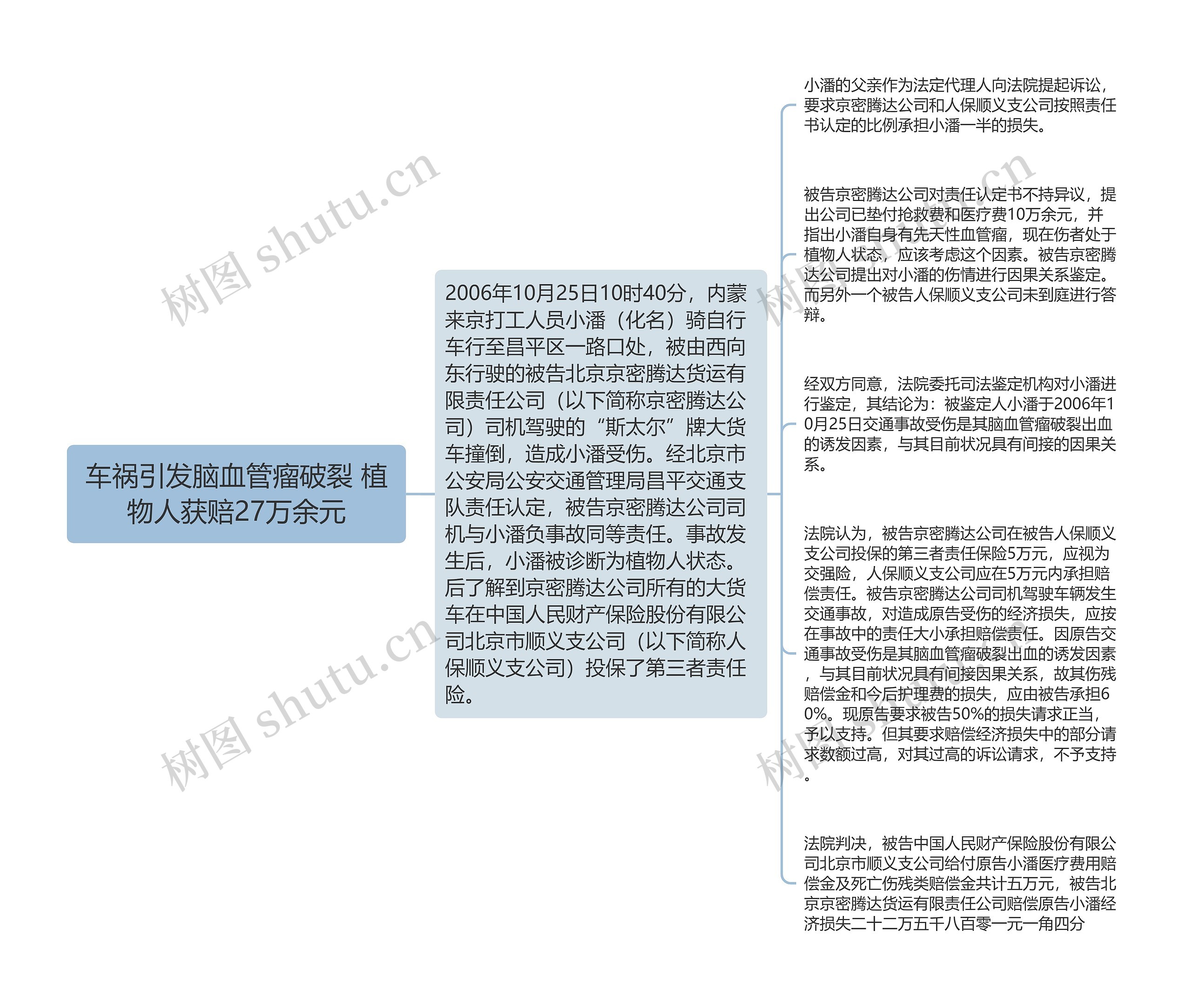 车祸引发脑血管瘤破裂 植物人获赔27万余元思维导图