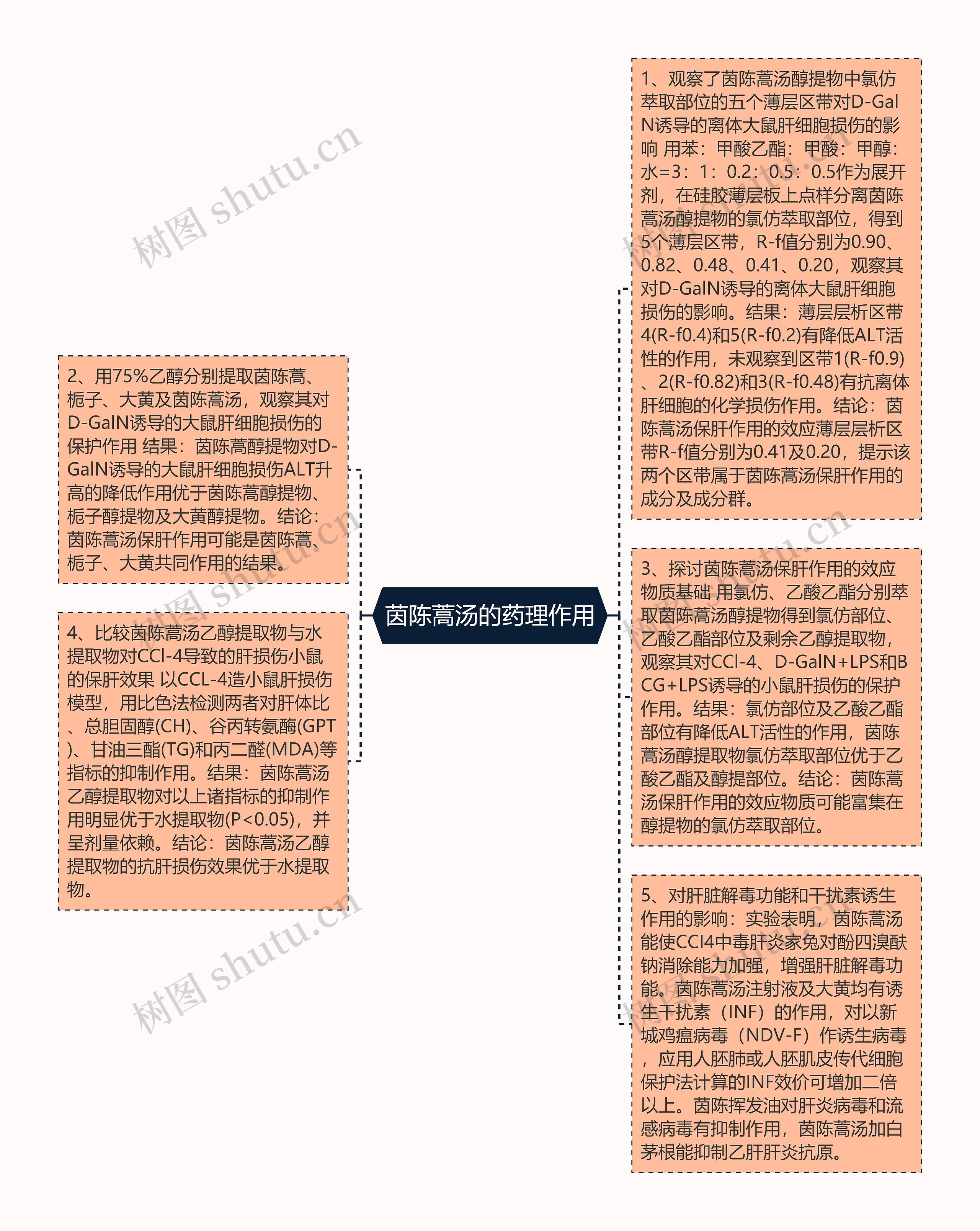 茵陈蒿汤的药理作用思维导图