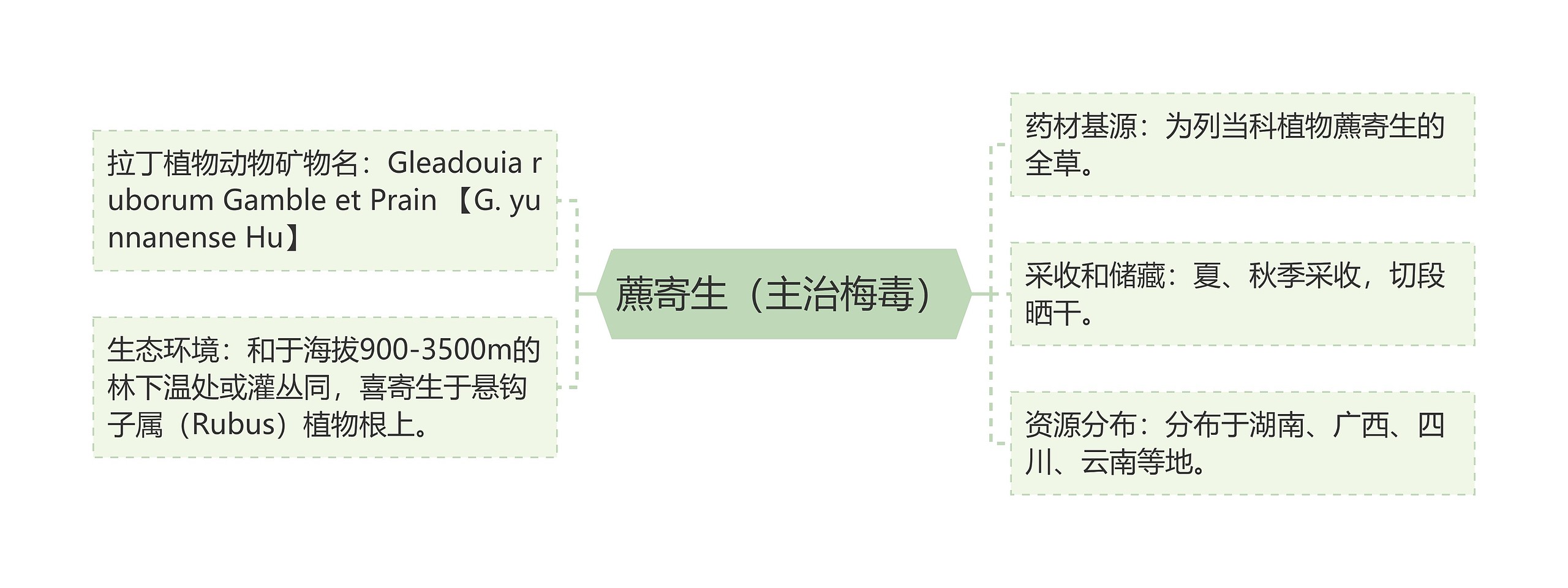 藨寄生（主治梅毒）思维导图