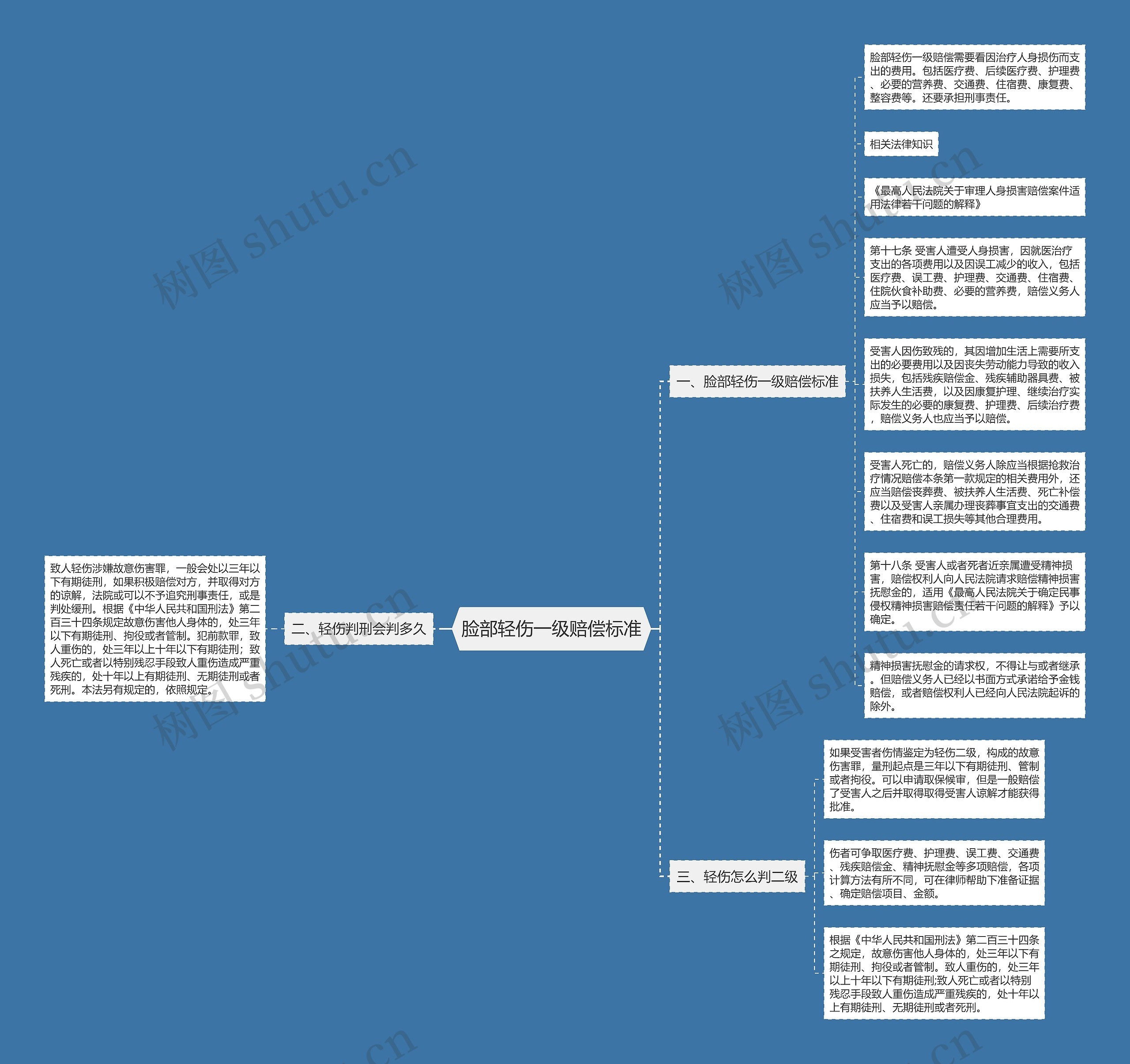 脸部轻伤一级赔偿标准思维导图