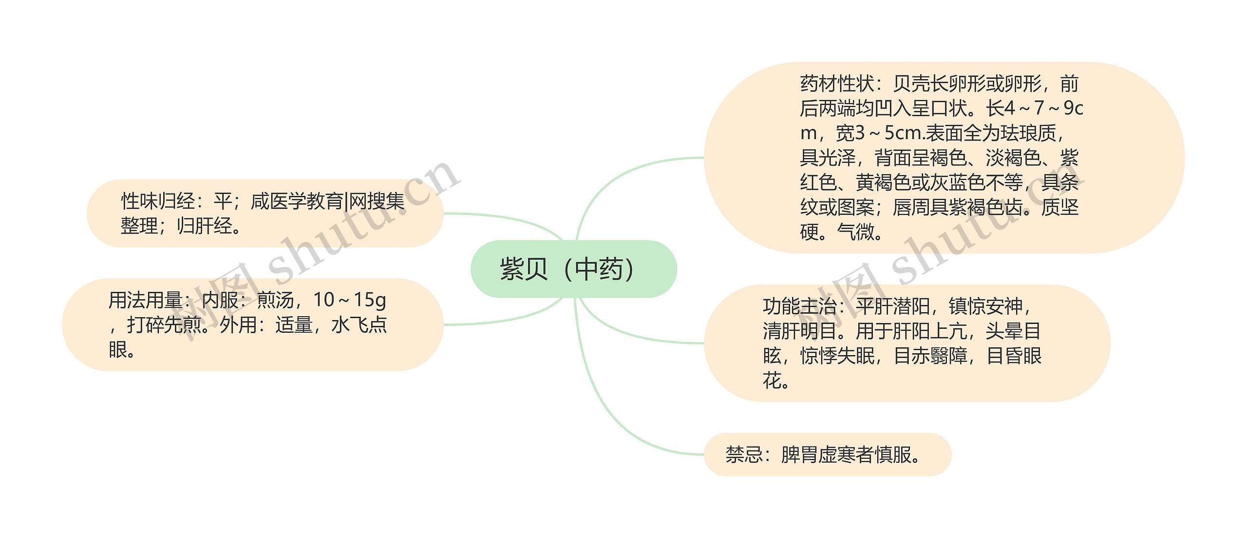 紫贝（中药）思维导图