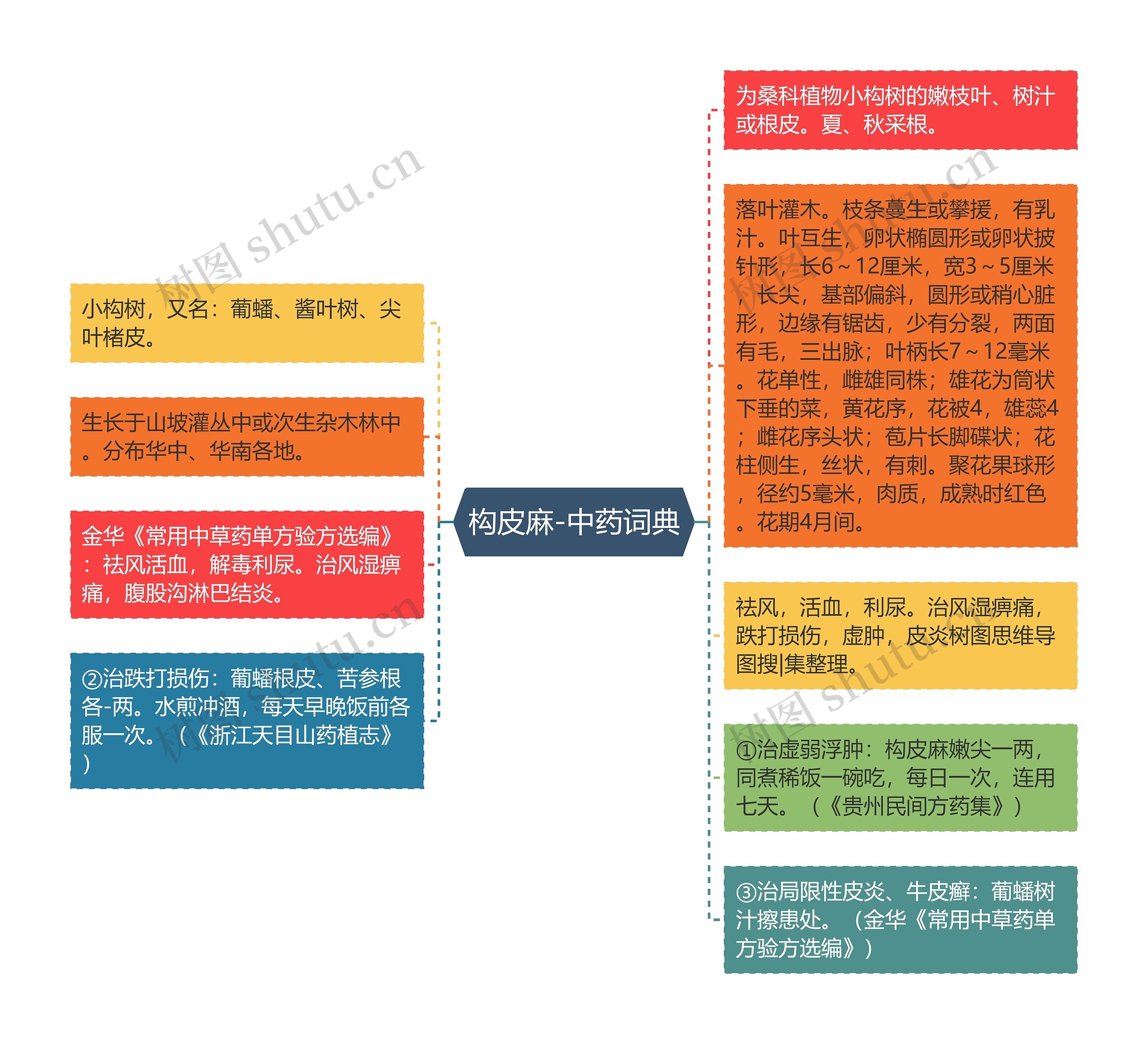 构皮麻-中药词典思维导图