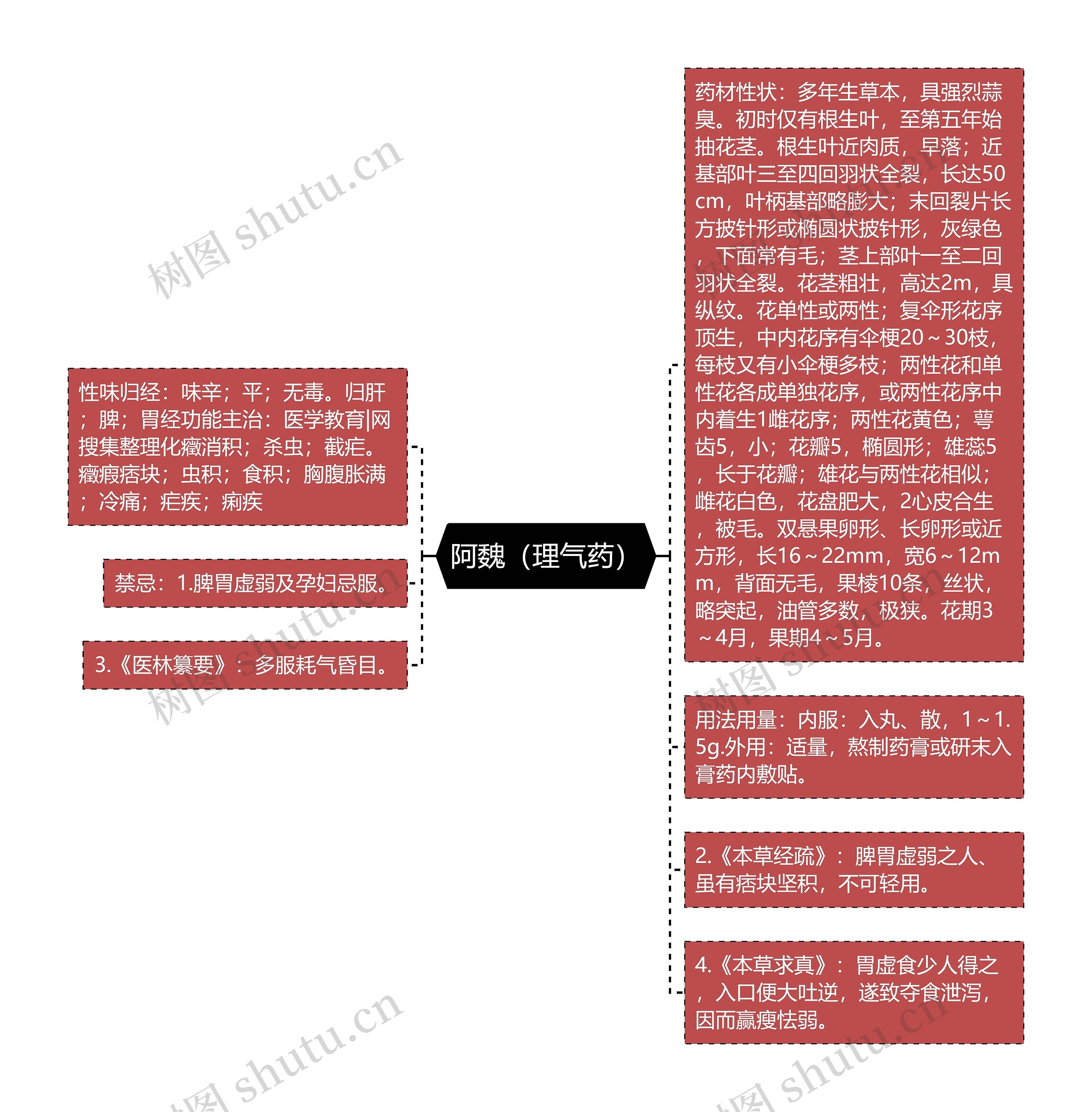 阿魏（理气药）思维导图